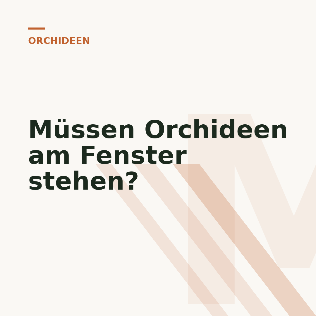 Müssen Orchideen am Fenster stehen?