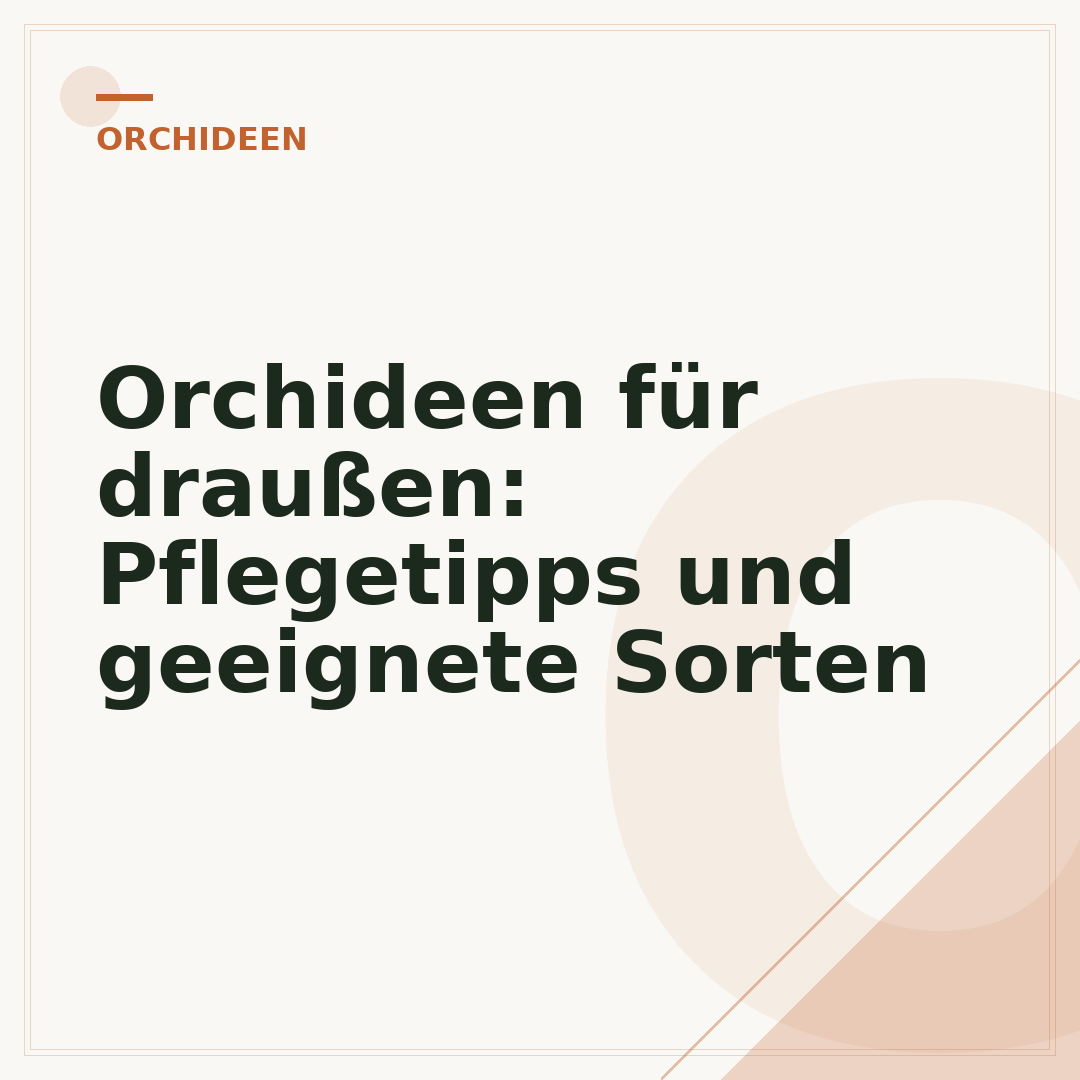 Orchideen für draußen: Pflegetipps und geeignete Sorten
