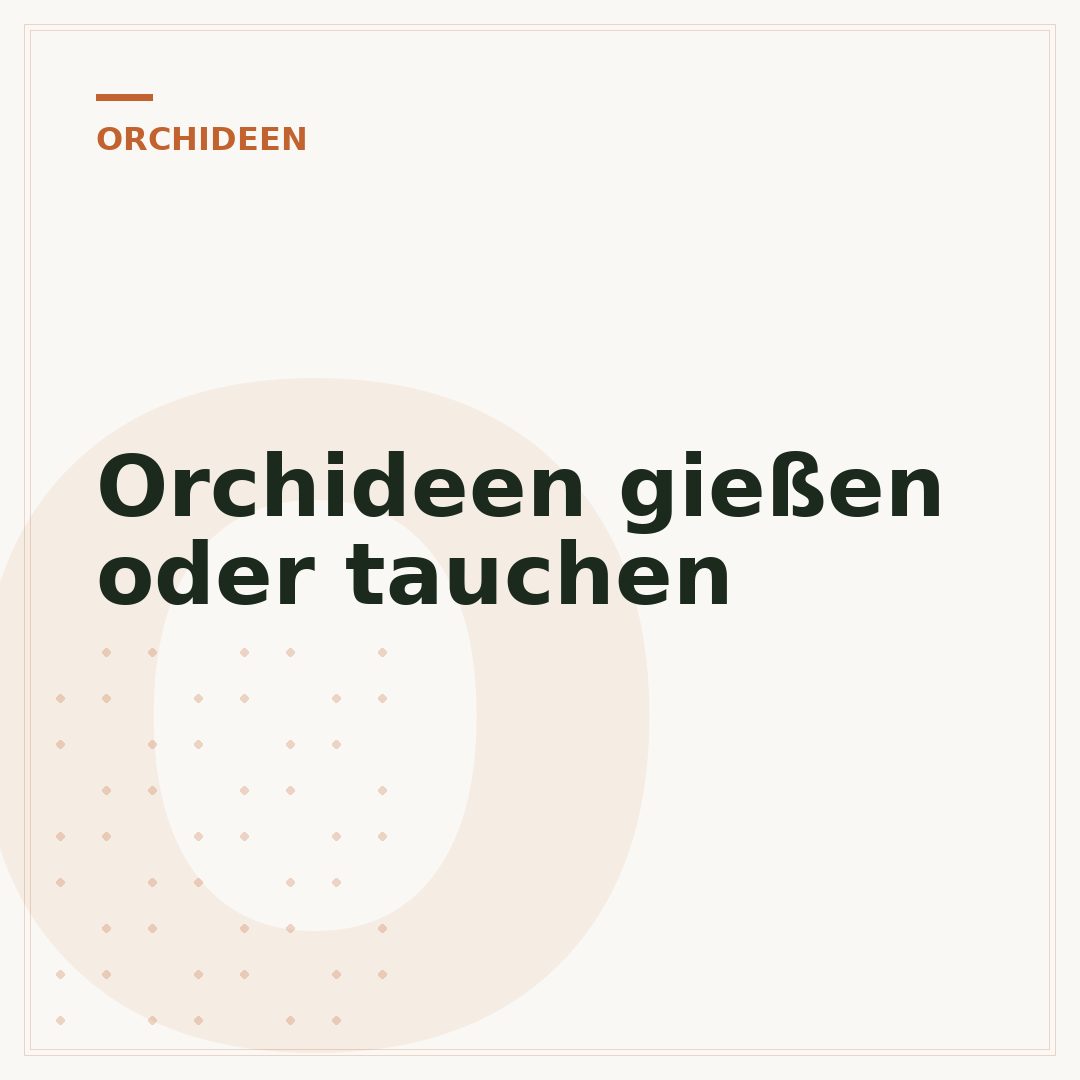 Orchideen gießen oder tauchen