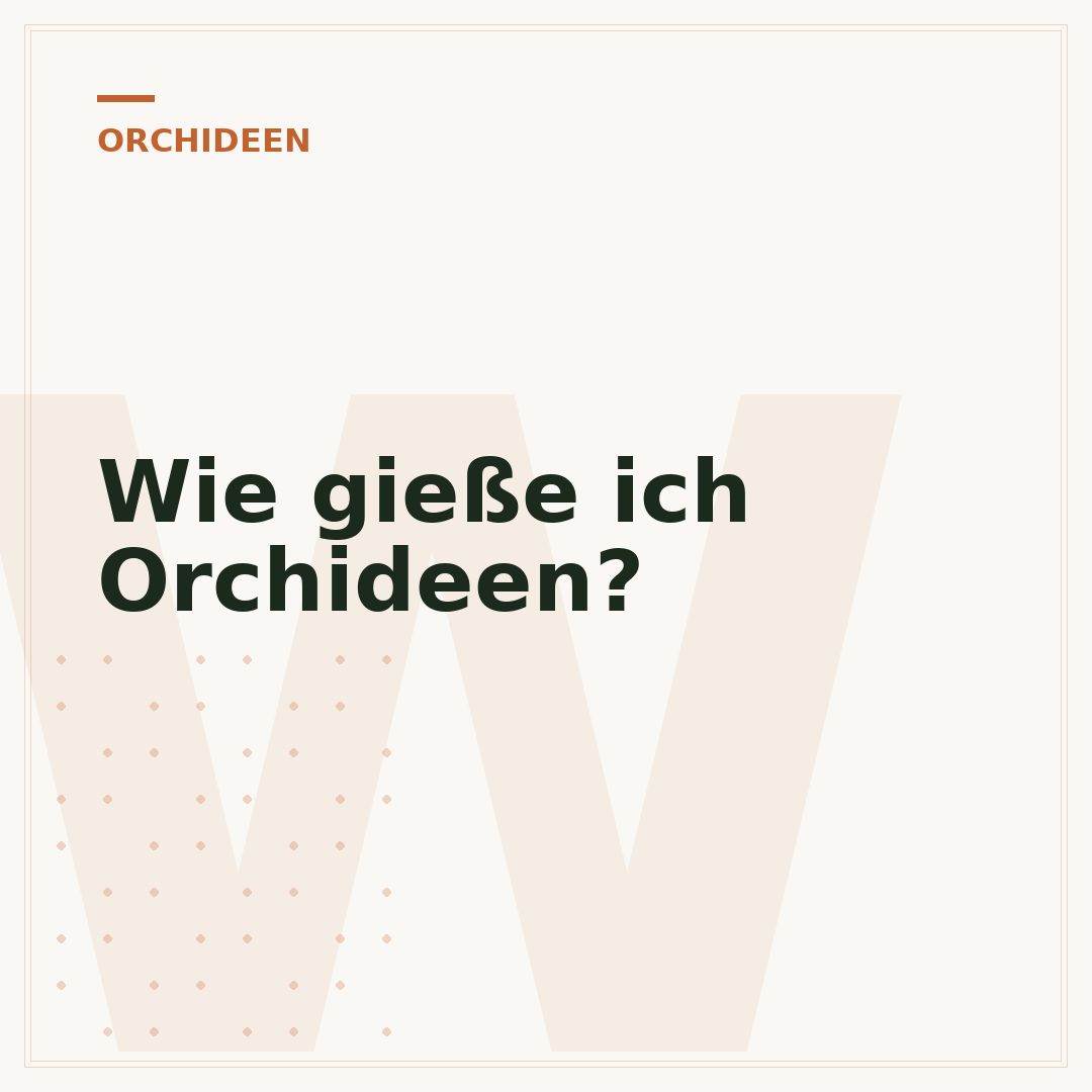 Wie gieße ich Orchideen?