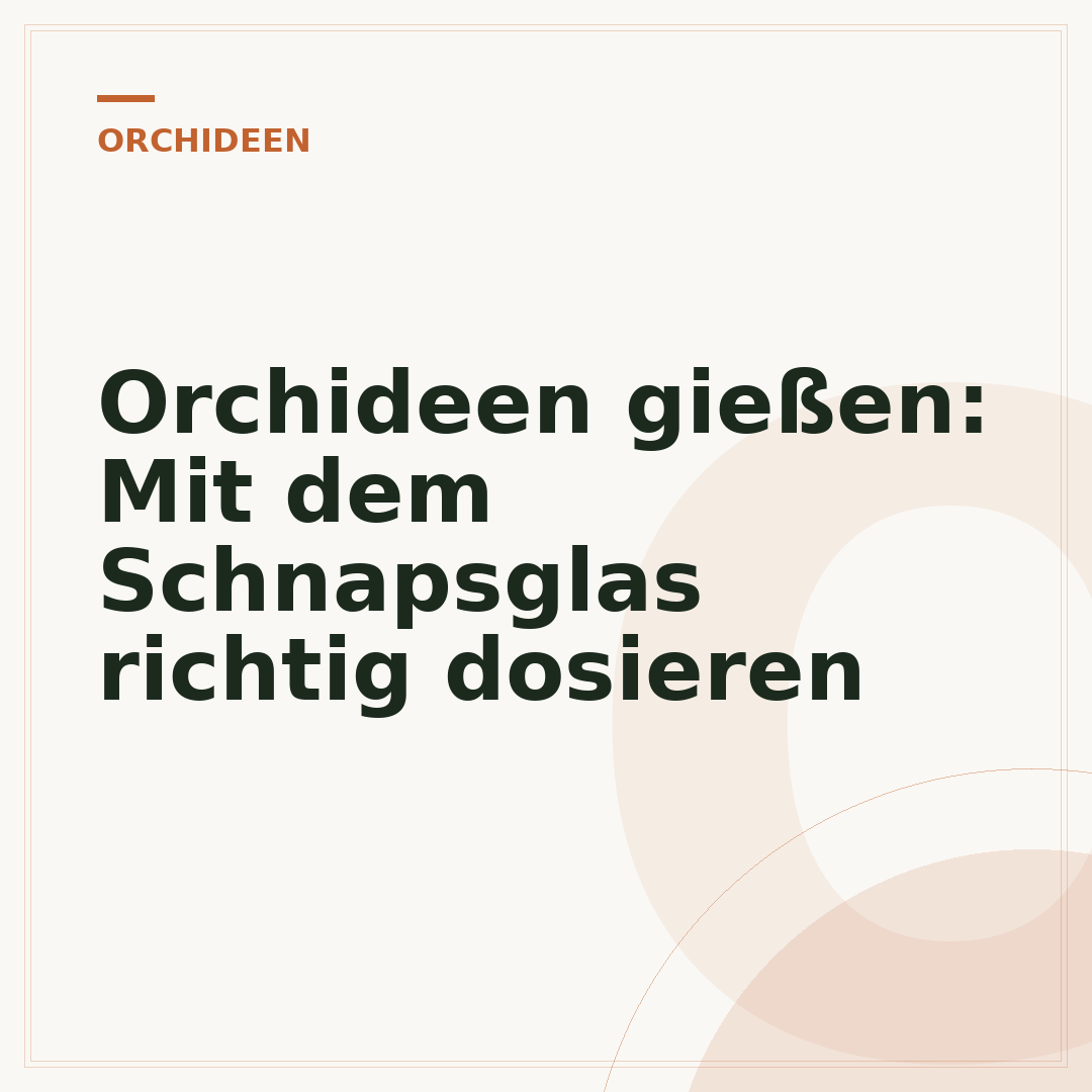 Orchideen gießen: Mit dem Schnapsglas richtig dosieren