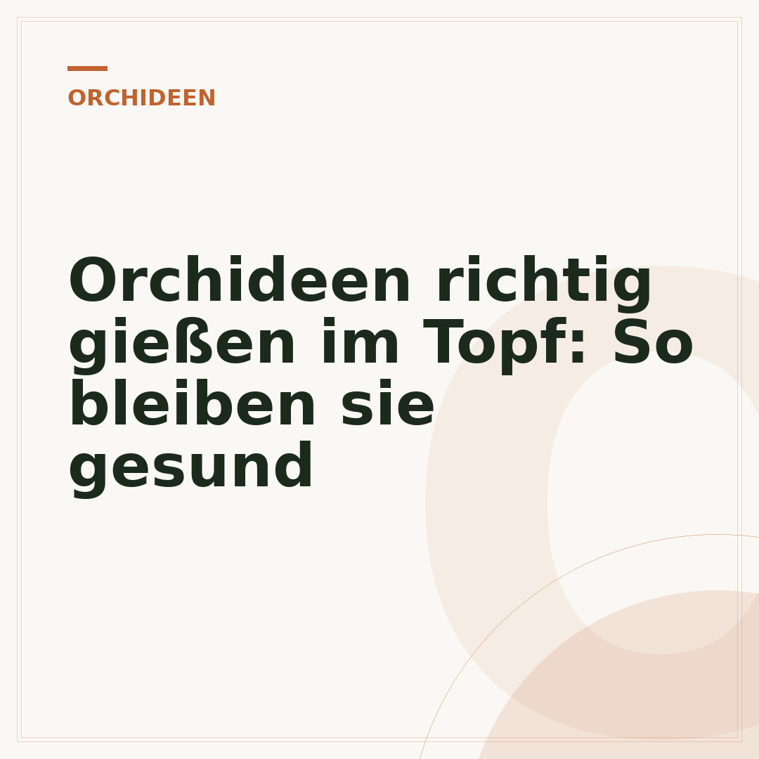 Orchideen richtig gießen im Topf: So bleiben sie gesund