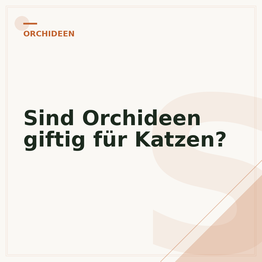 Sind Orchideen giftig für Katzen?