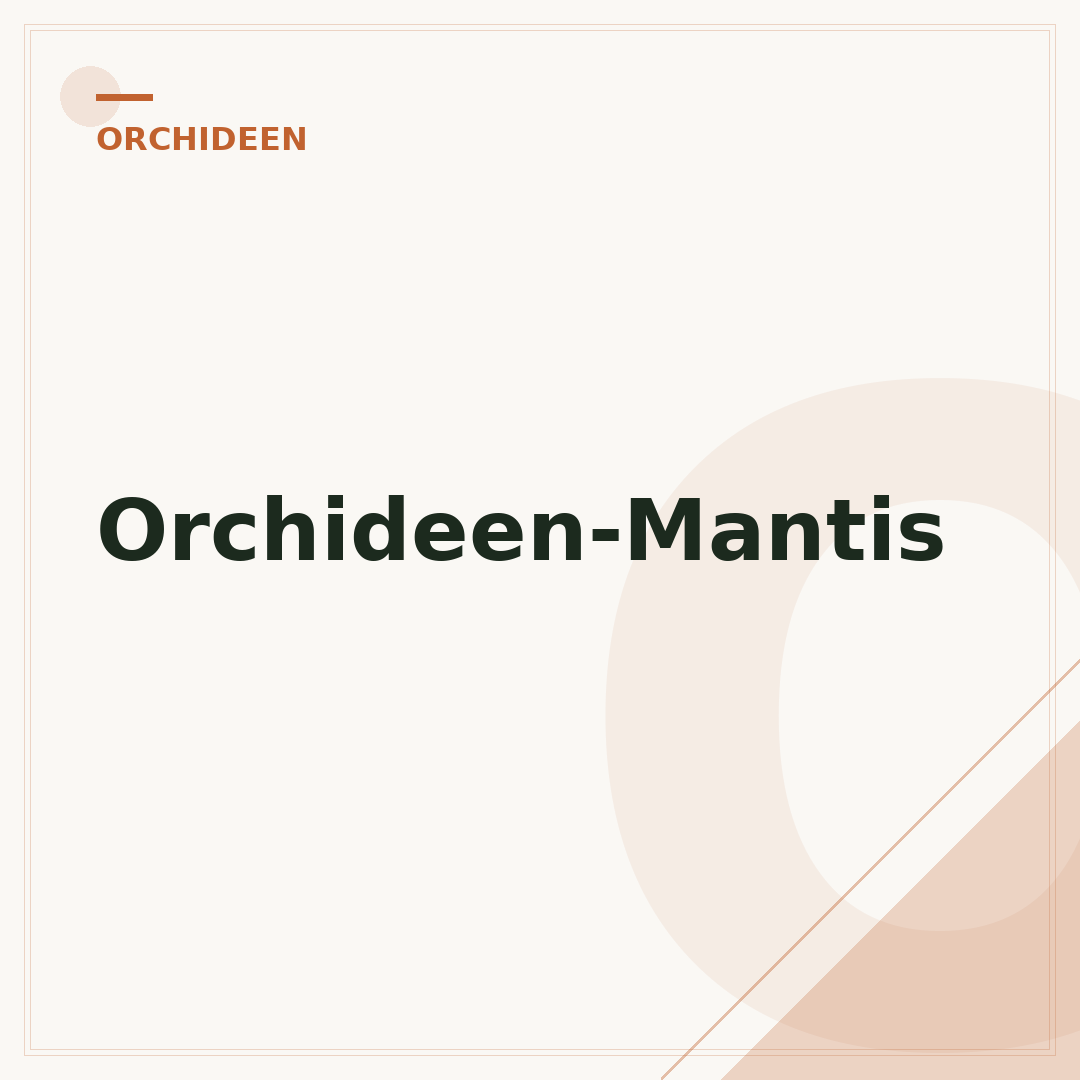 Orchideen-Mantis