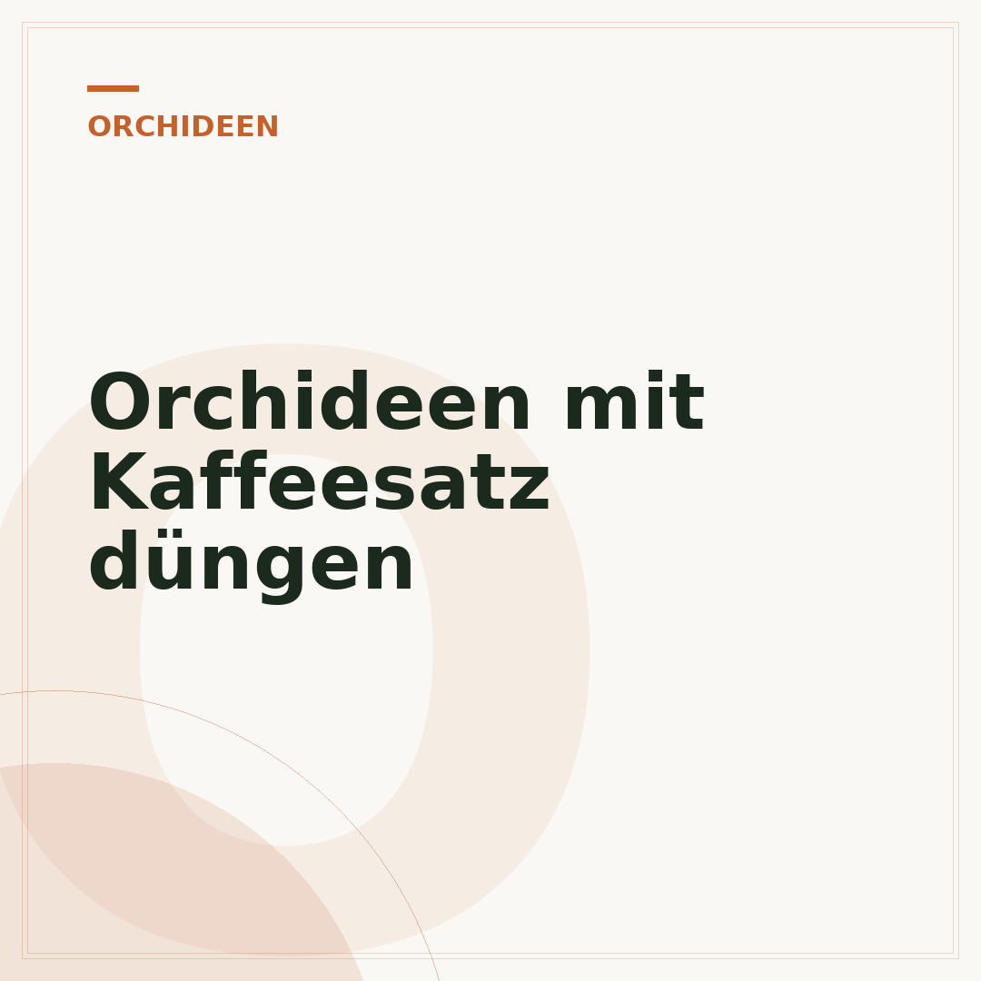 Orchideen mit Kaffeesatz düngen