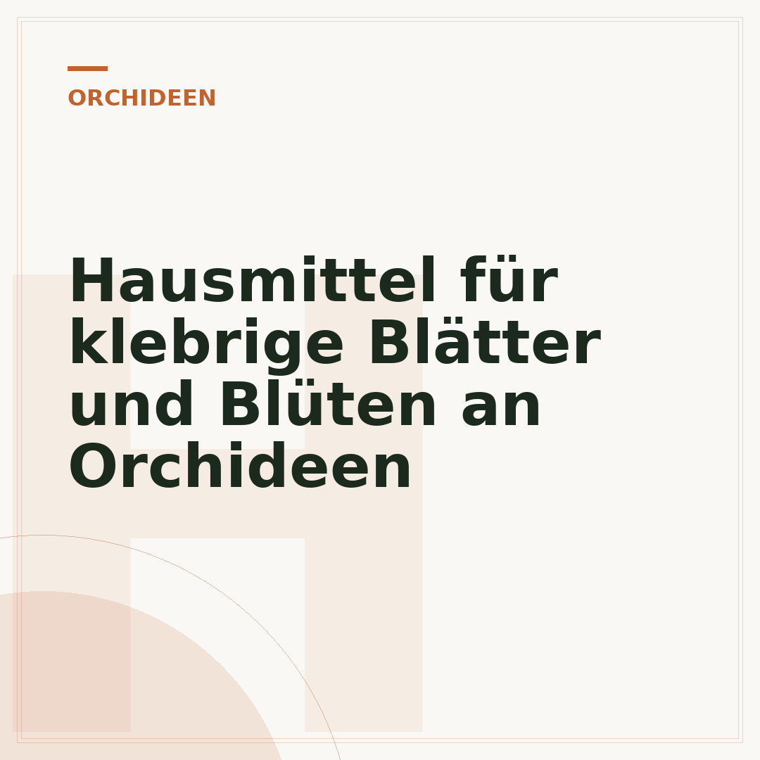 Hausmittel für klebrige Blätter und Blüten an Orchideen