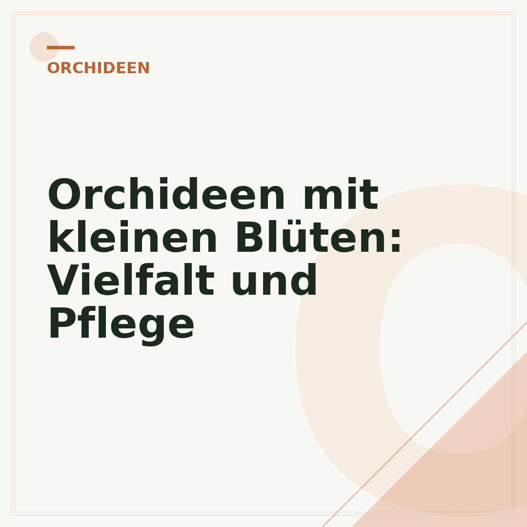 Orchideen mit kleinen Blüten: Vielfalt und Pflege