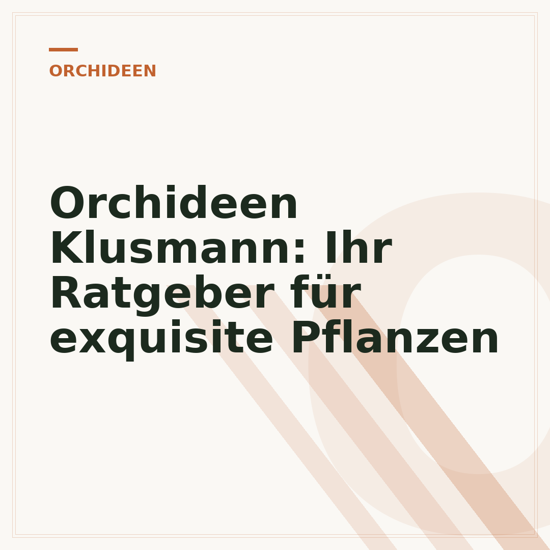 Orchideen Klusmann: Ihr Ratgeber für exquisite Pflanzen