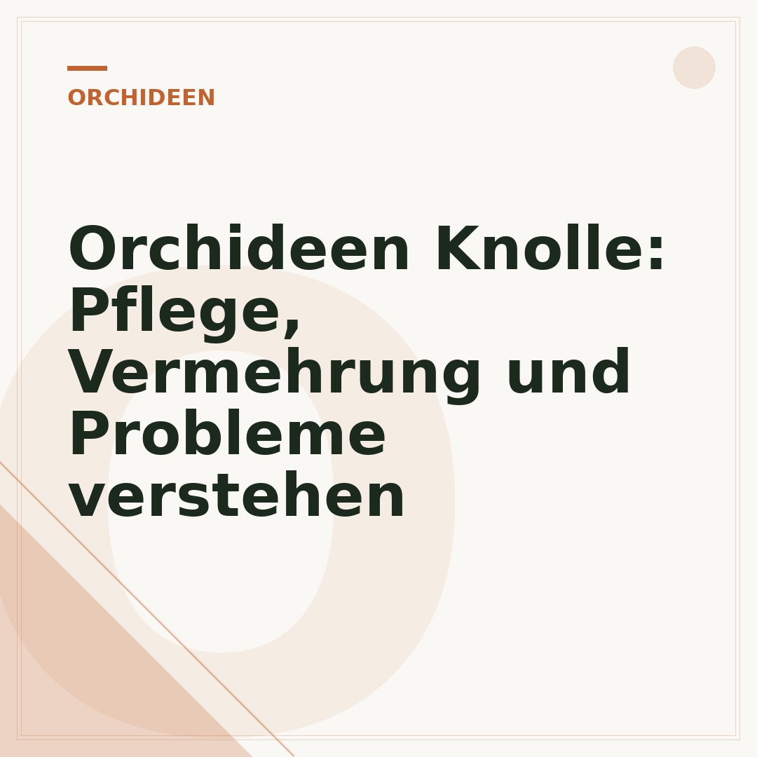 Orchideen Knolle: Pflege, Vermehrung und Probleme verstehen