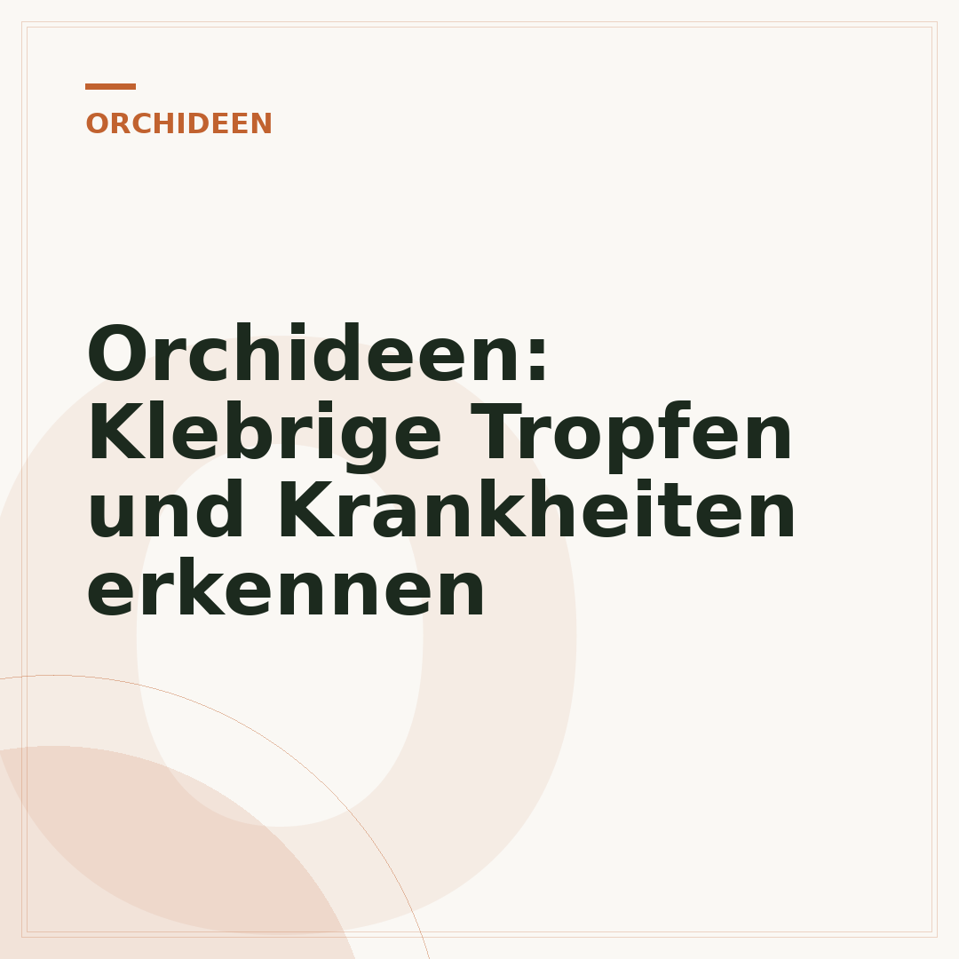 Orchideen: Klebrige Tropfen und Krankheiten erkennen