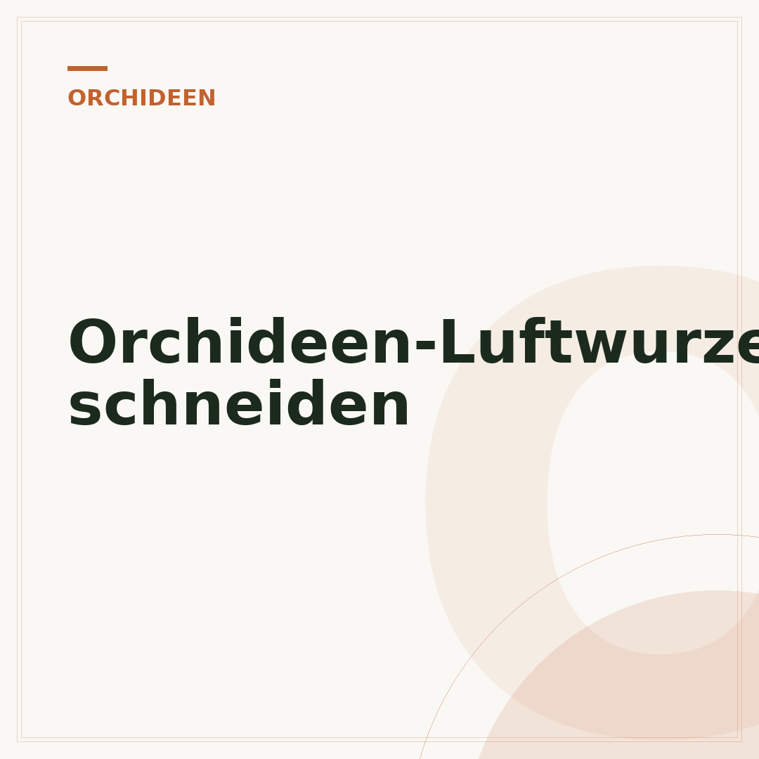 Orchideen-Luftwurzeln schneiden