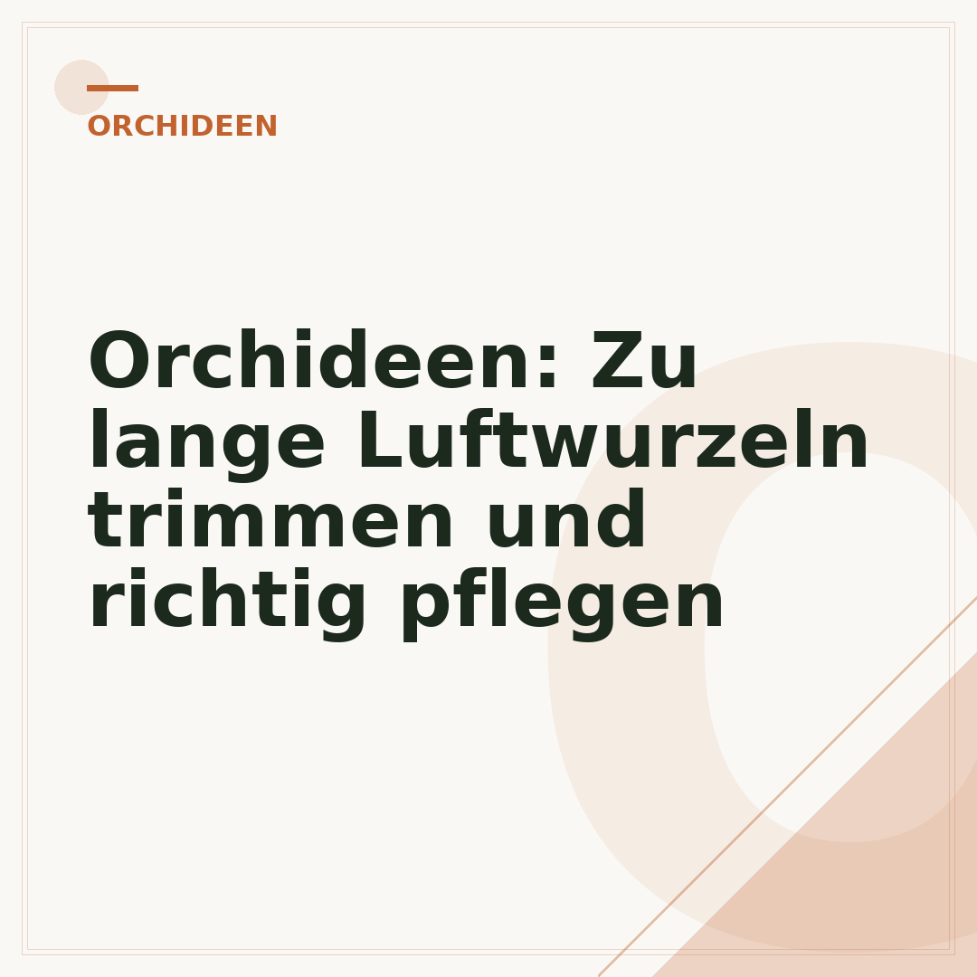 Orchideen: Zu lange Luftwurzeln trimmen und richtig pflegen