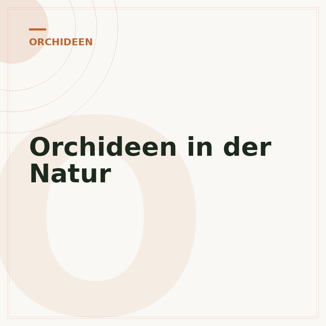 Orchideen in der Natur