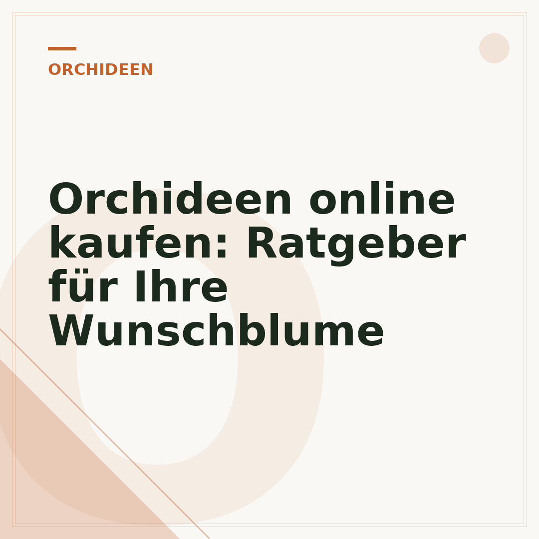 Orchideen online kaufen: Ratgeber für Ihre Wunschblume