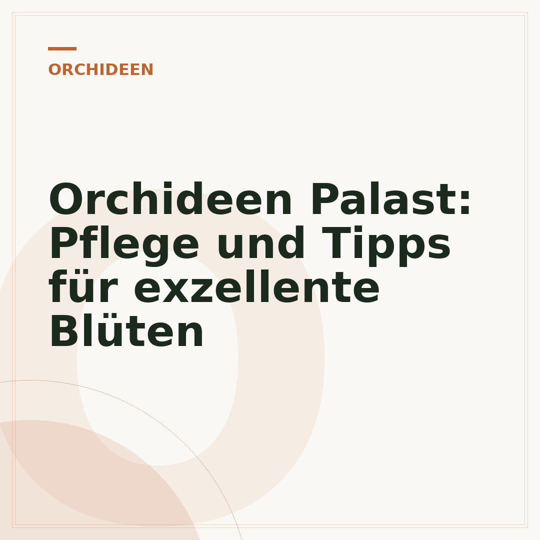 Orchideen Palast: Pflege und Tipps für exzellente Blüten