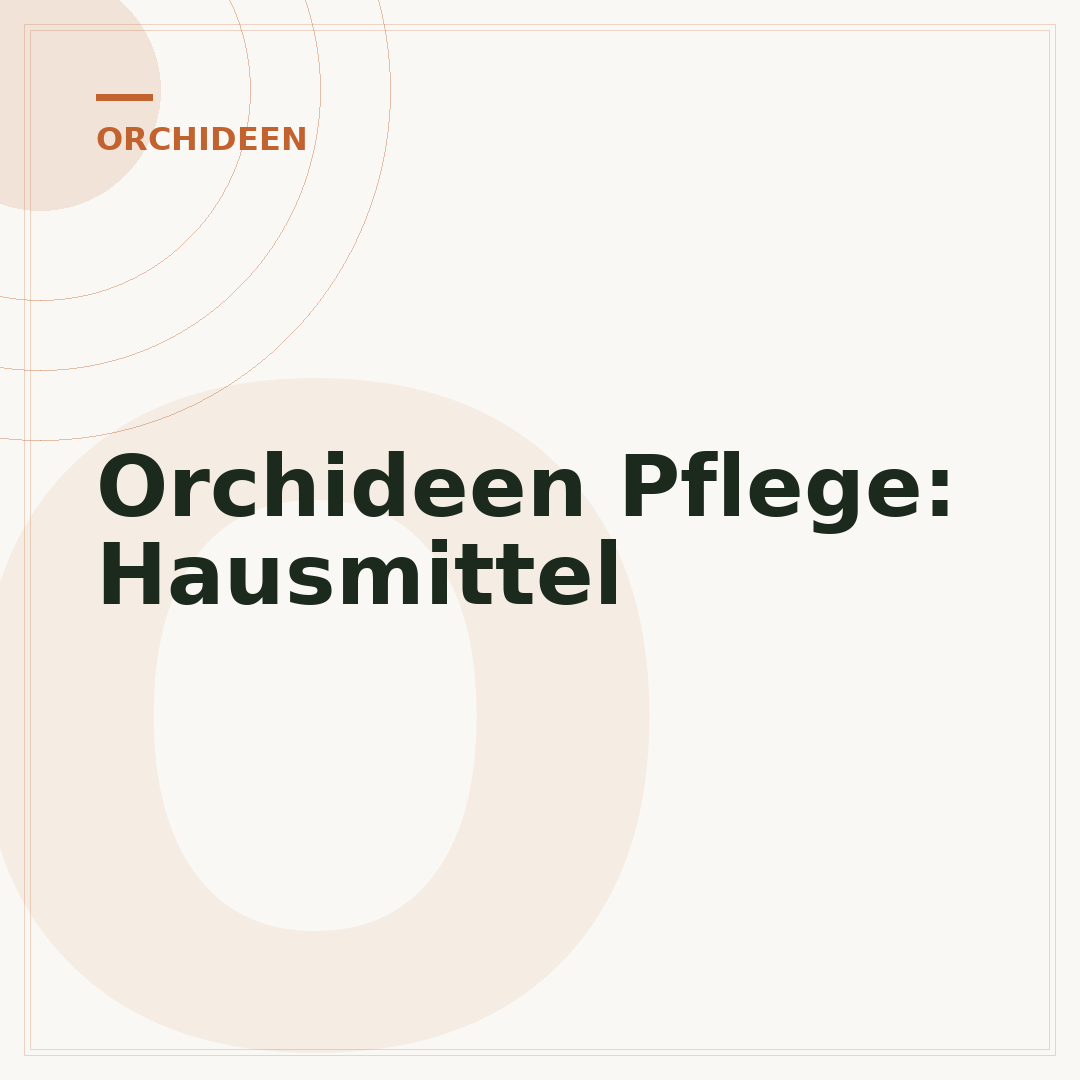 Orchideen Pflege: Hausmittel