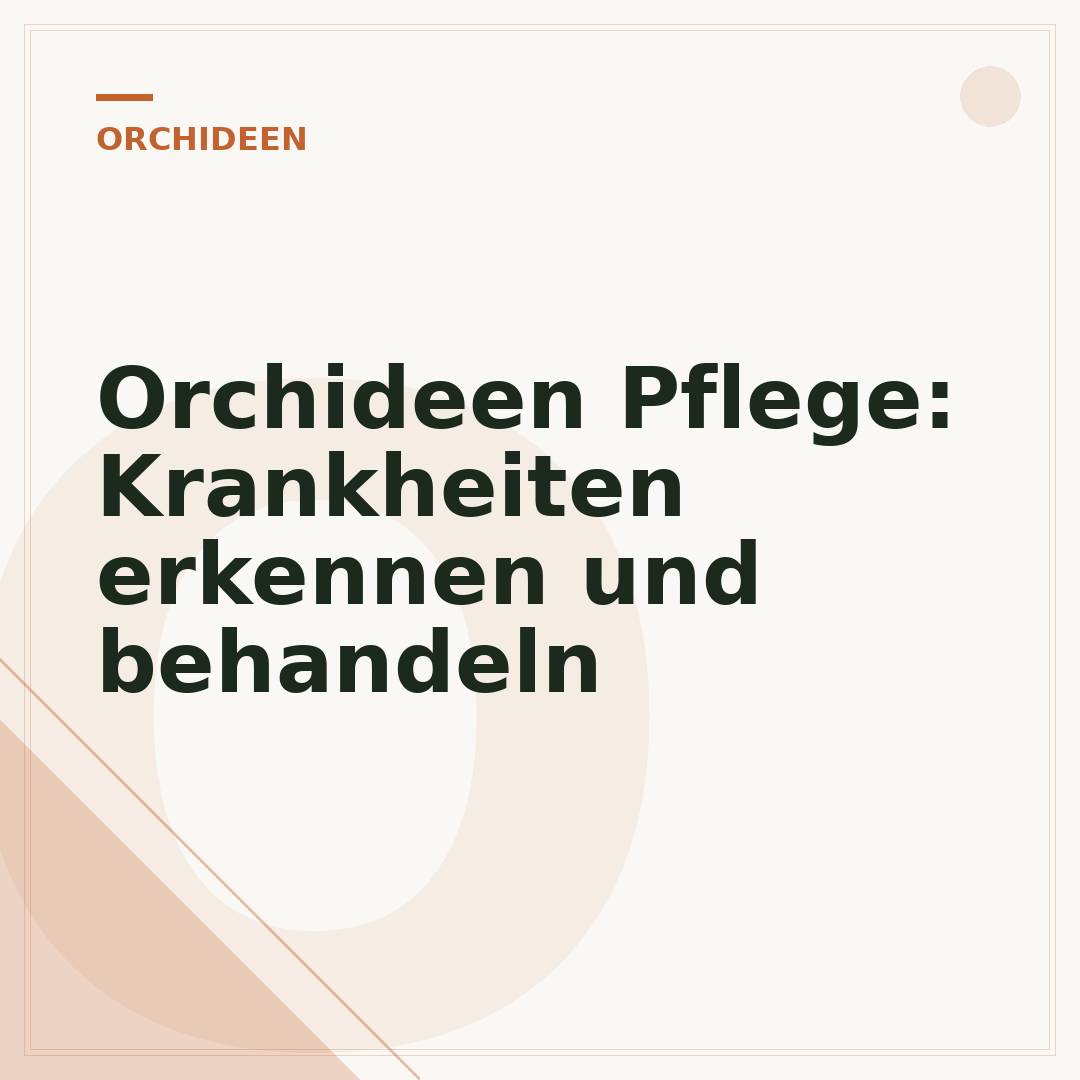 Orchideen Pflege: Krankheiten erkennen und behandeln