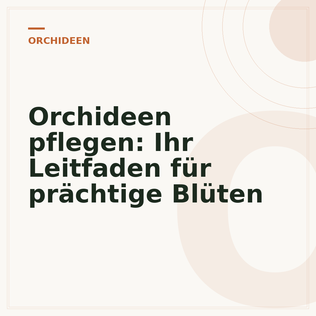 Orchideen pflegen: Ihr Leitfaden für prächtige Blüten