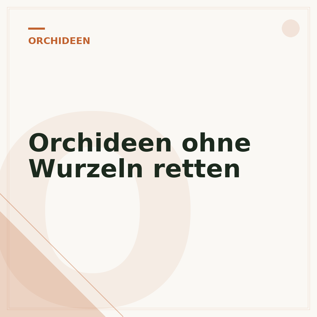 Orchideen ohne Wurzeln retten