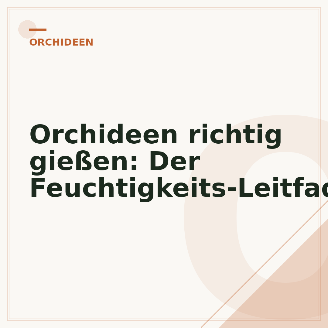 Orchideen richtig gießen: Der Feuchtigkeits-Leitfaden