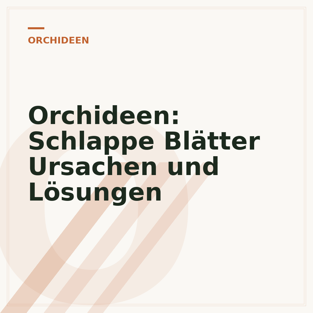 Orchideen: Schlappe Blätter Ursachen und Lösungen