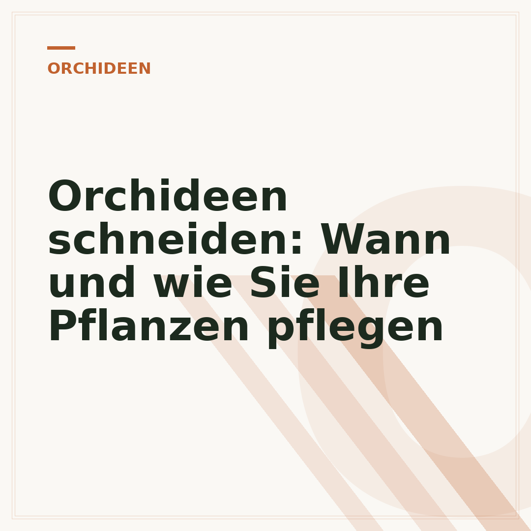 Orchideen schneiden: Wann und wie Sie Ihre Pflanzen pflegen