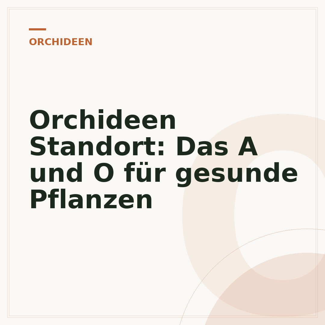 Orchideen Standort: Das A und O für gesunde Pflanzen