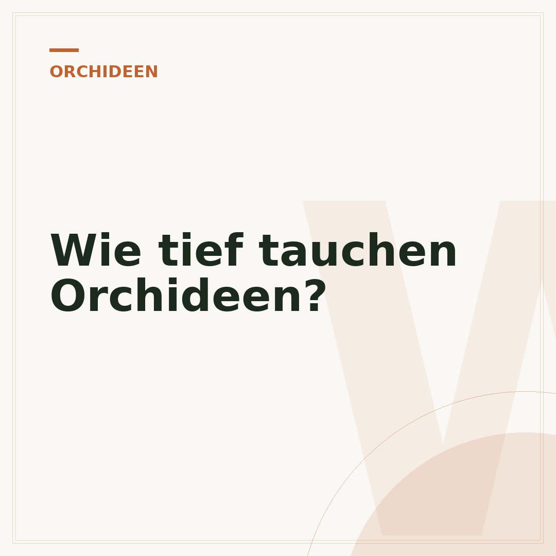Wie tief tauchen Orchideen?
