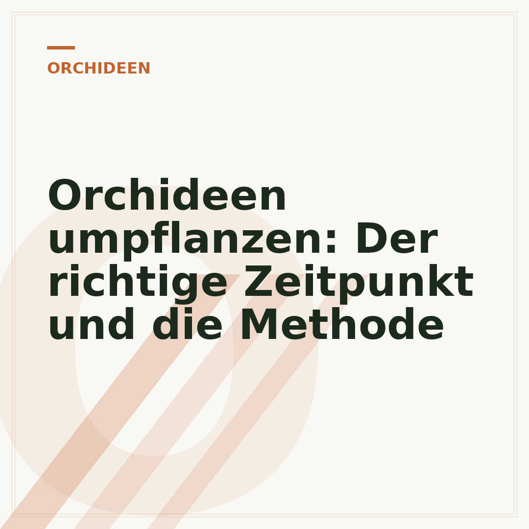 Orchideen umpflanzen: Der richtige Zeitpunkt und die Methode