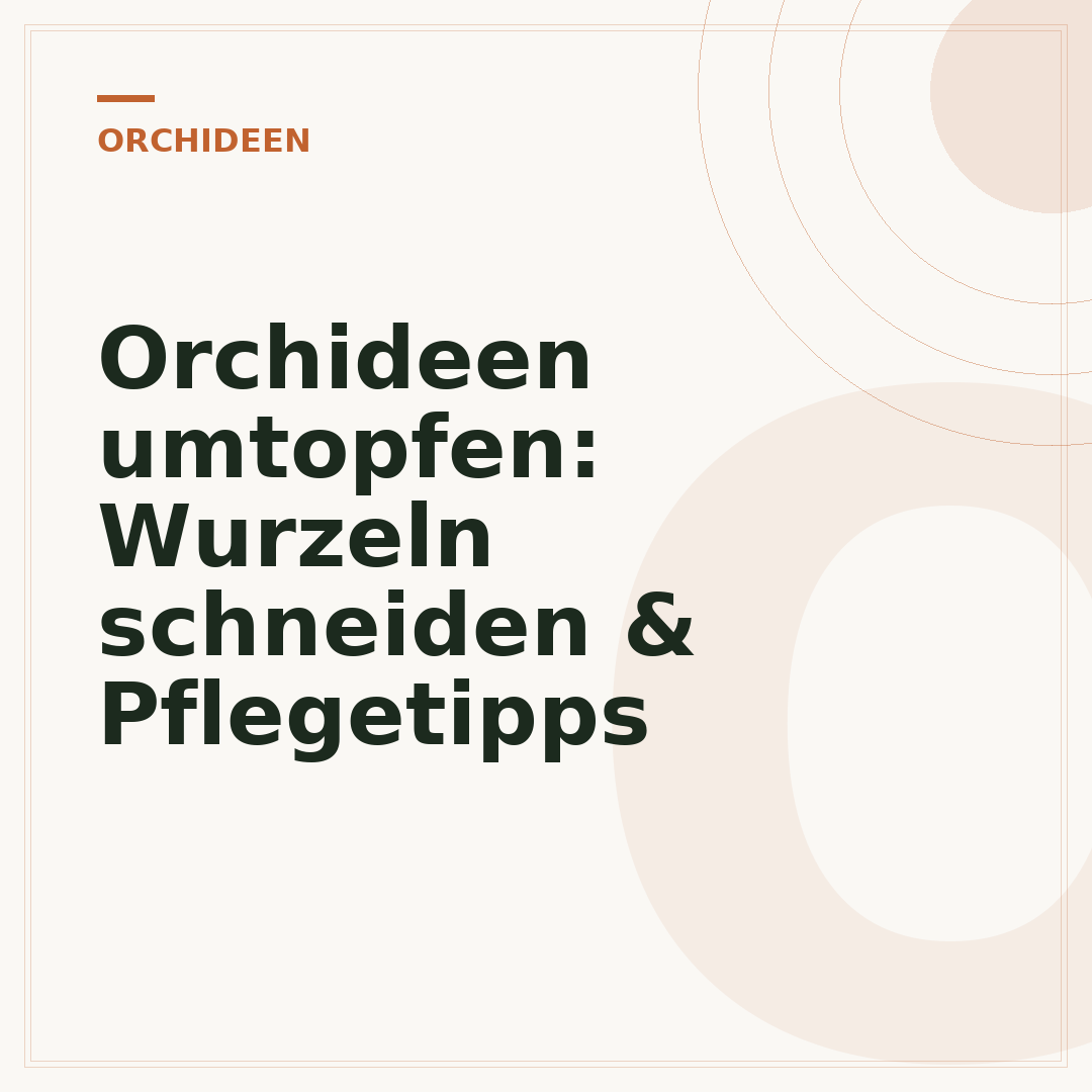 Orchideen umtopfen: Wurzeln schneiden & Pflegetipps