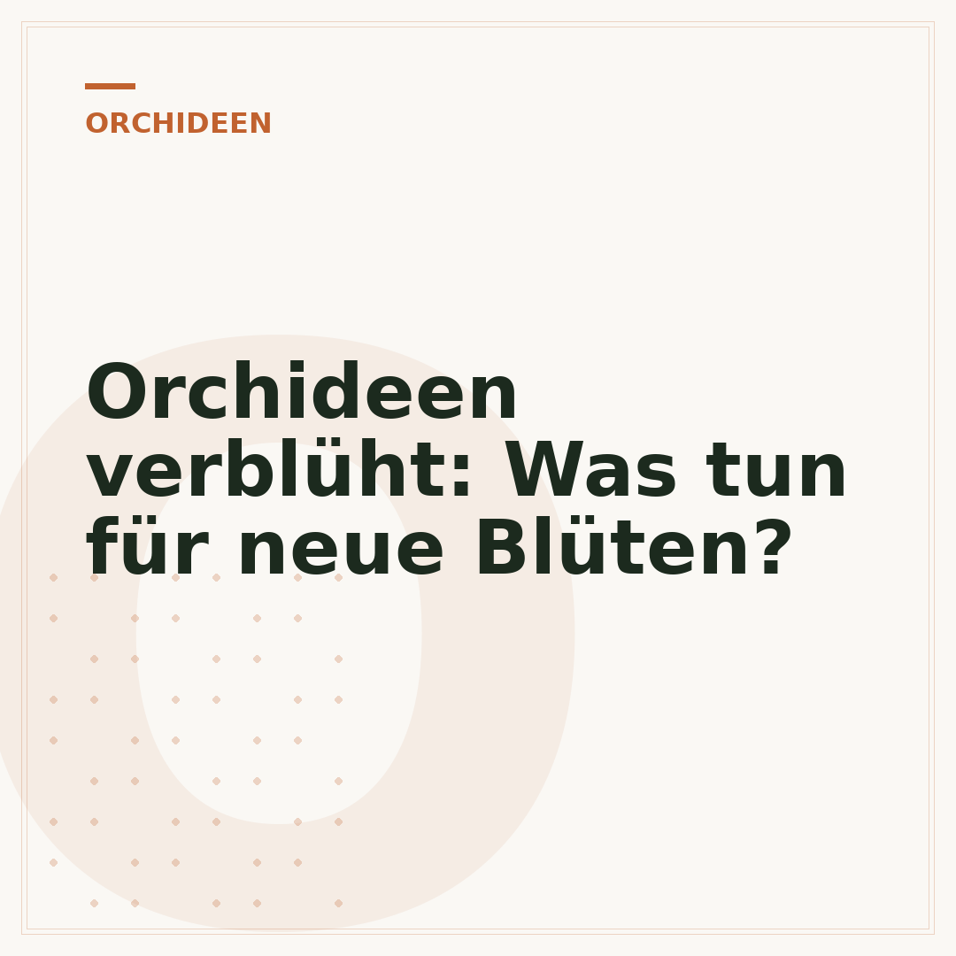 Orchideen verblüht: Was tun für neue Blüten?