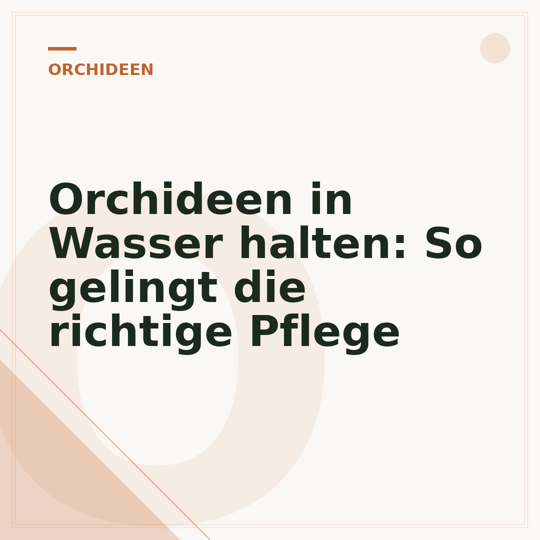 Orchideen in Wasser halten: So gelingt die richtige Pflege