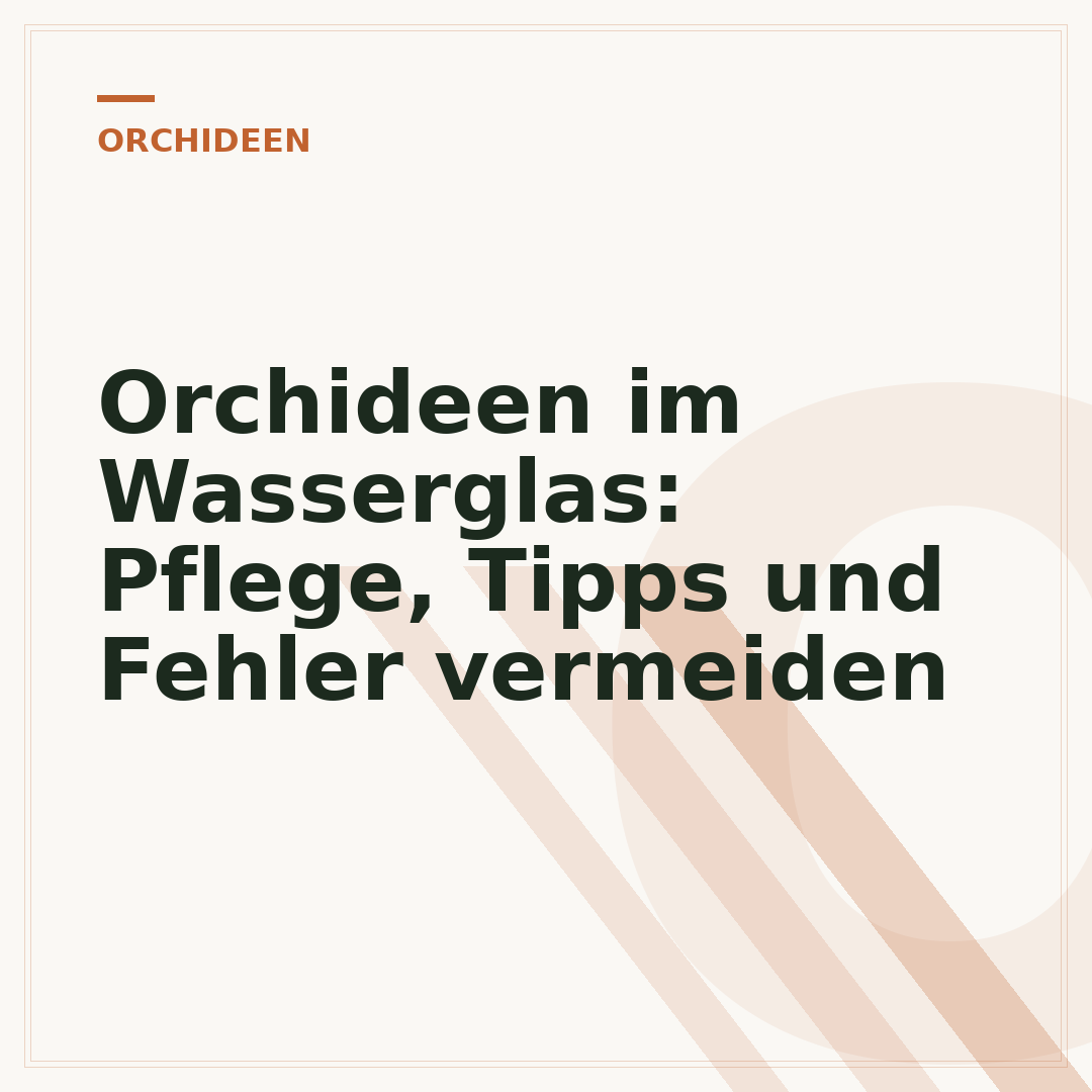 Orchideen im Wasserglas: Pflege, Tipps und Fehler vermeiden