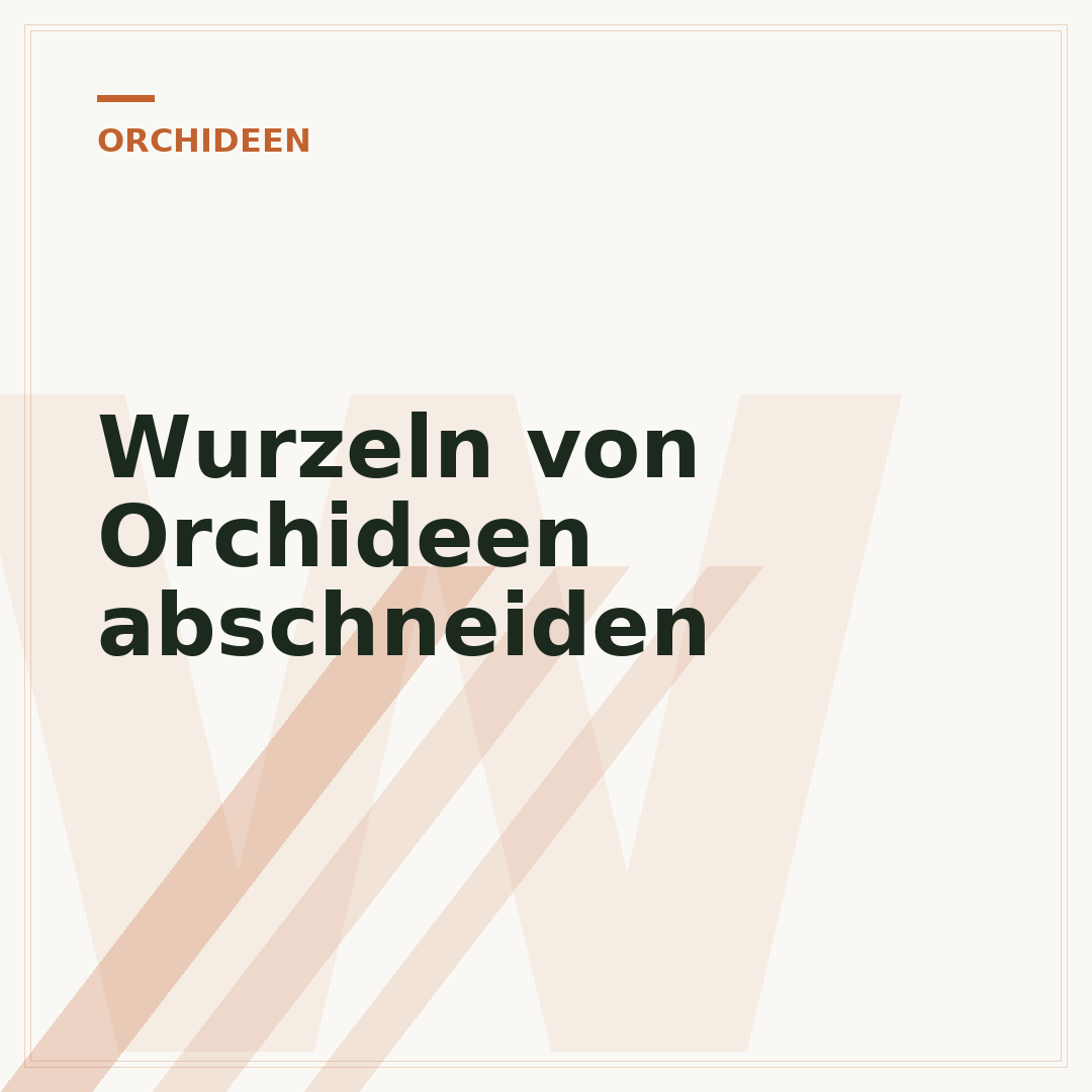 Wurzeln von Orchideen abschneiden
