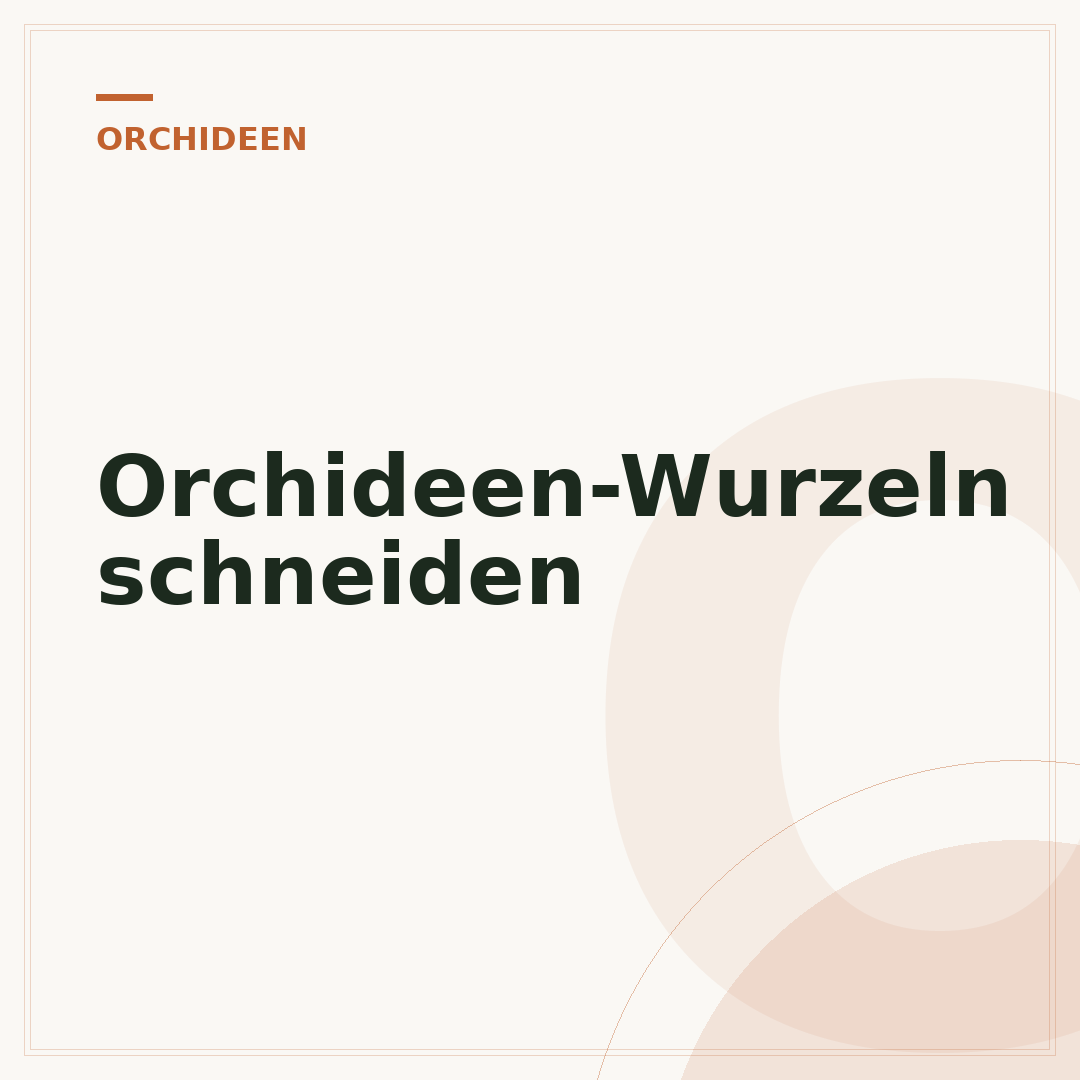 Orchideen-Wurzeln schneiden