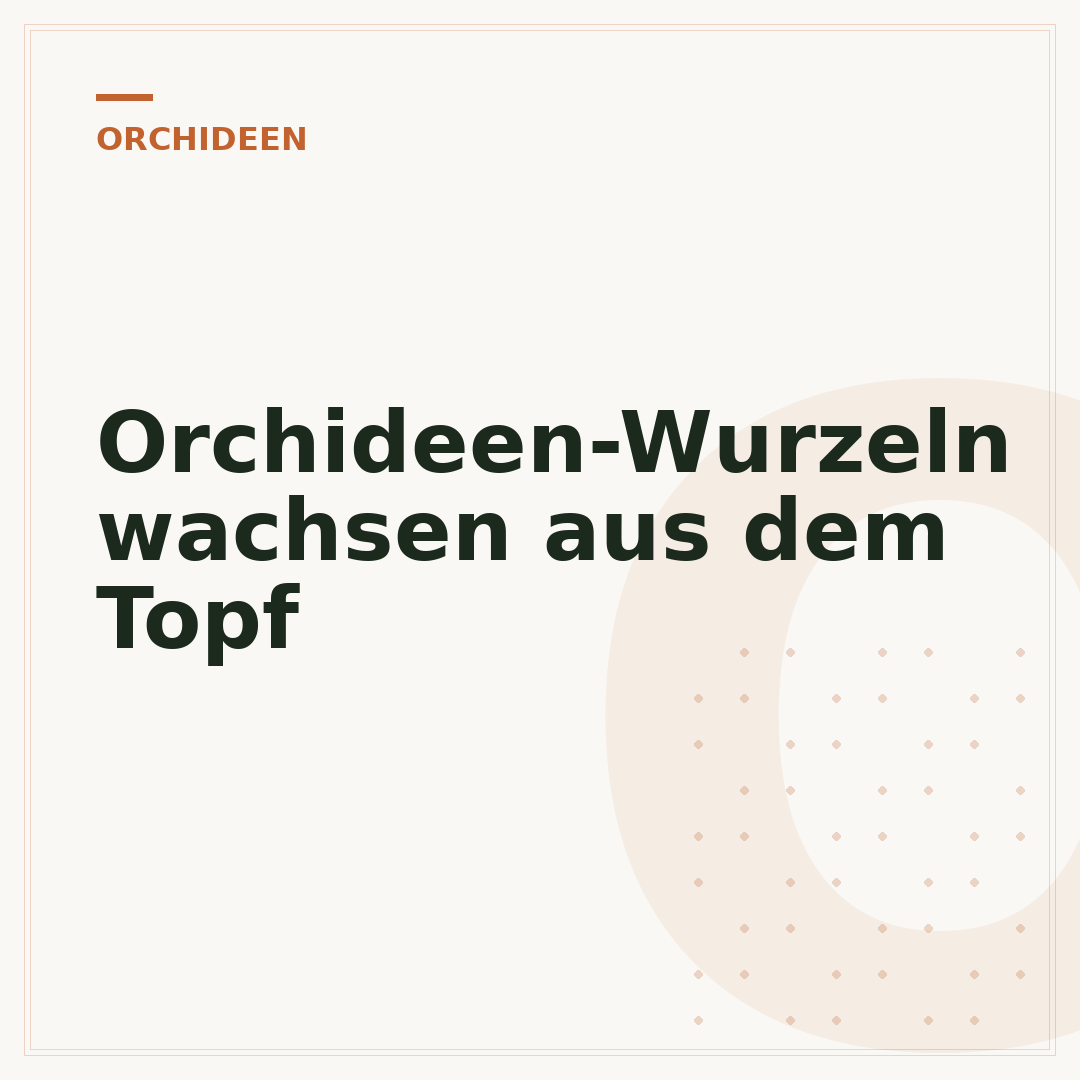 Orchideen-Wurzeln wachsen aus dem Topf