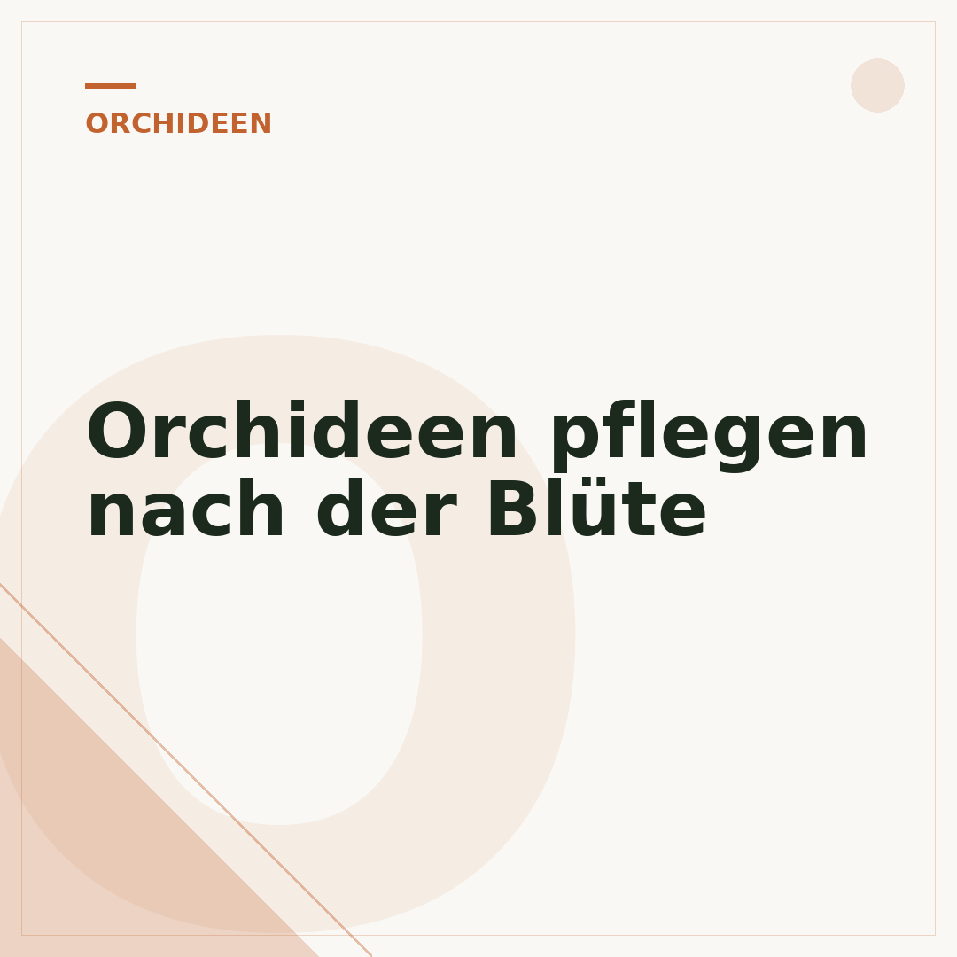 Orchideen pflegen nach der Blüte