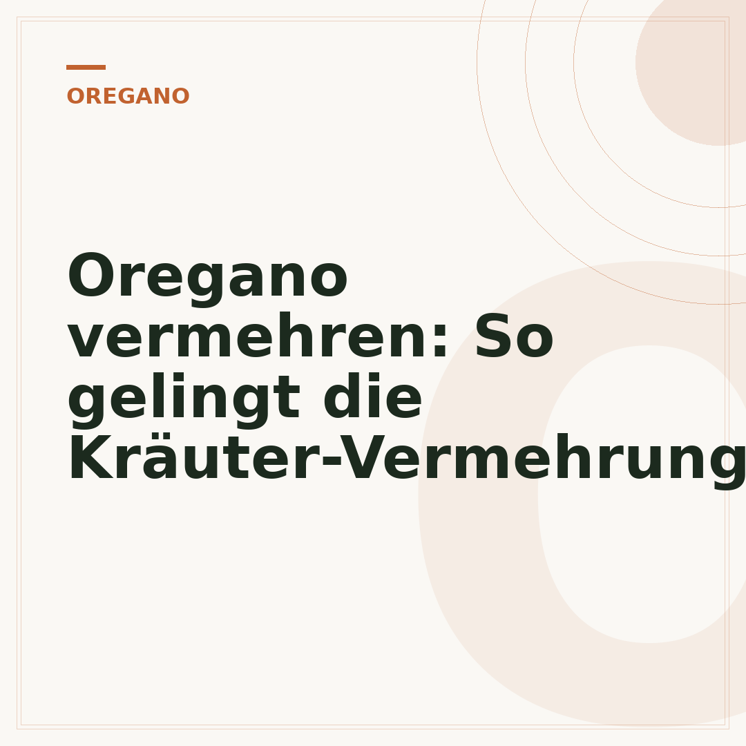 Oregano vermehren: So gelingt die Kräuter-Vermehrung