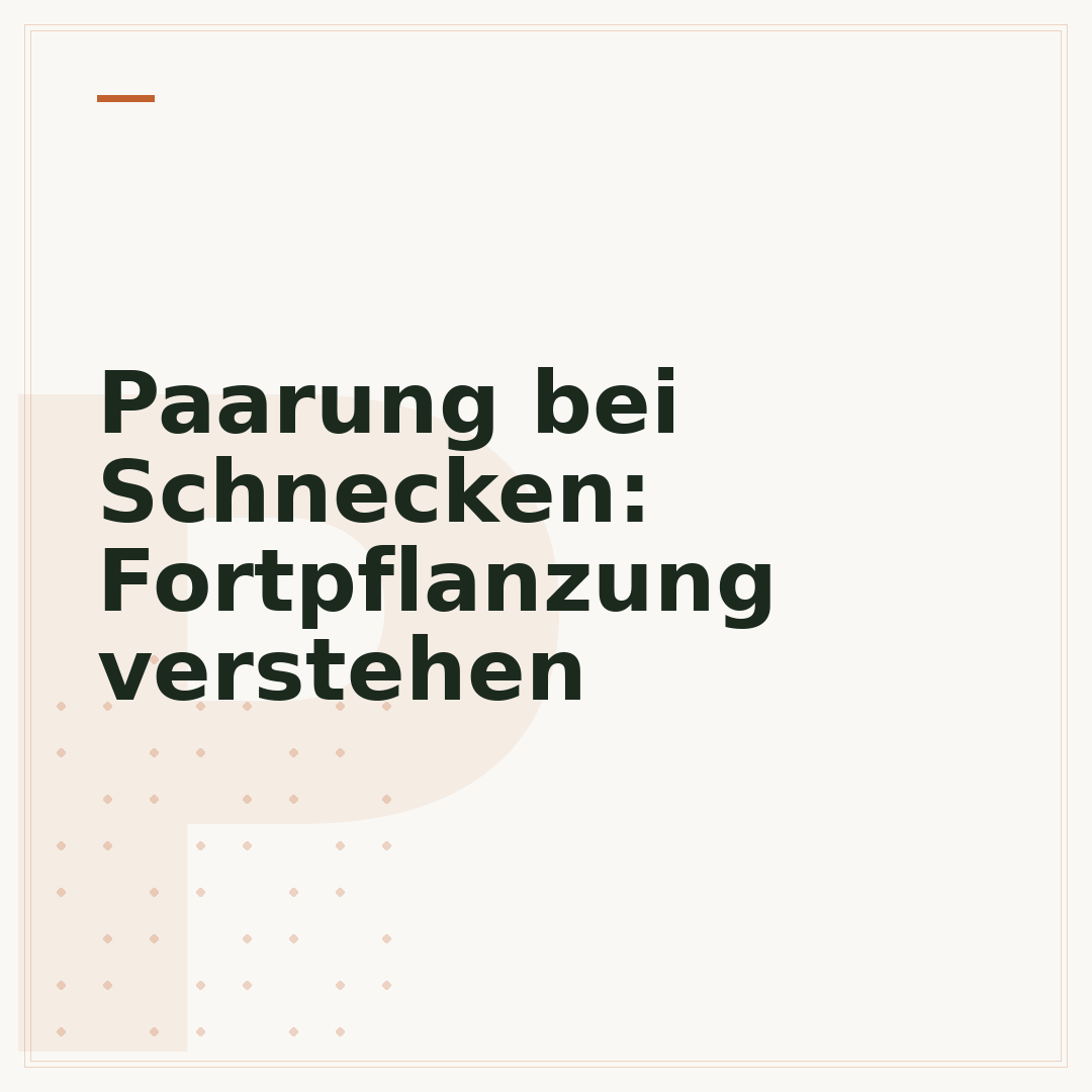 Paarung bei Schnecken: Fortpflanzung verstehen