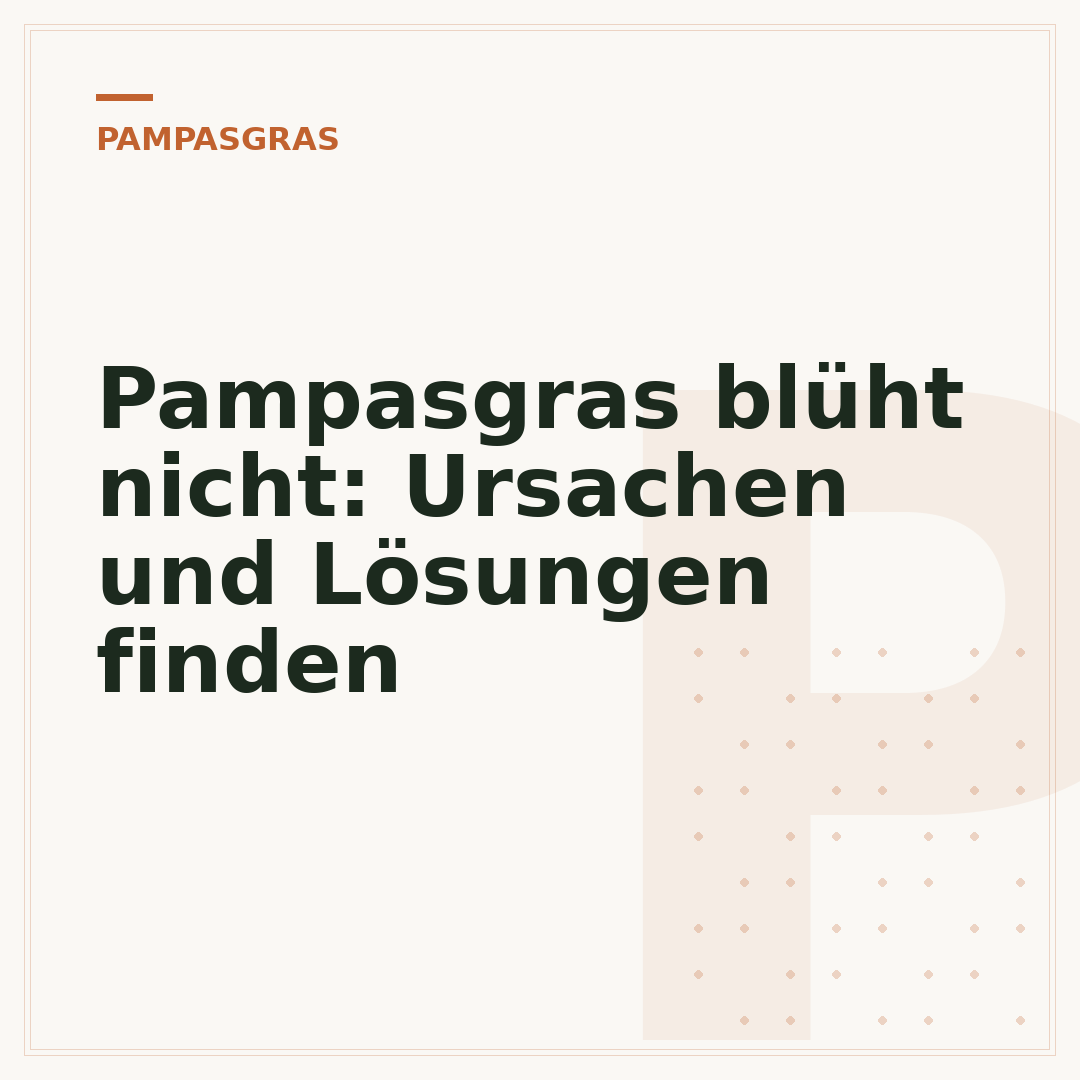 Pampasgras blüht nicht: Ursachen und Lösungen finden