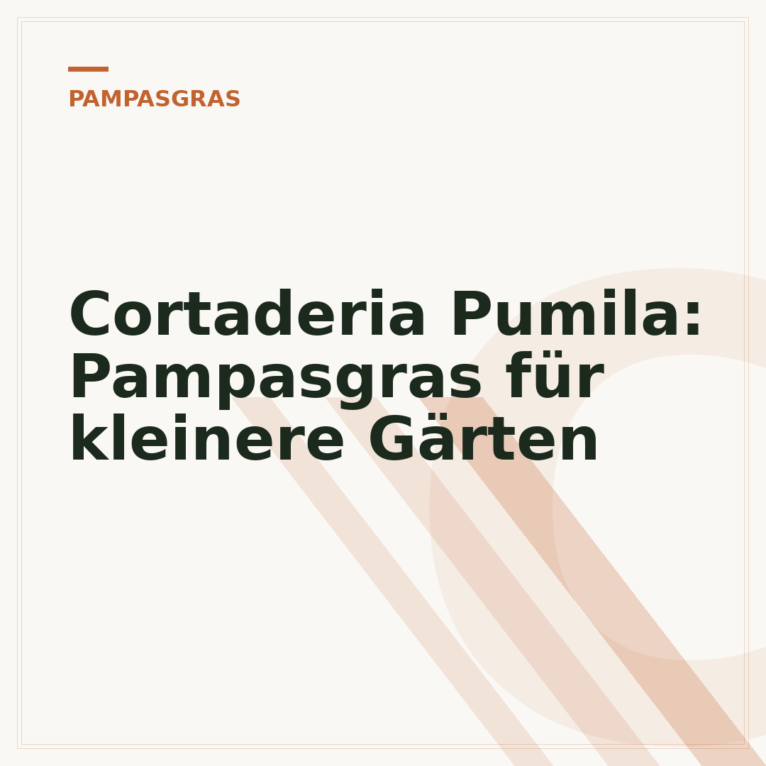 Cortaderia Pumila: Pampasgras für kleinere Gärten