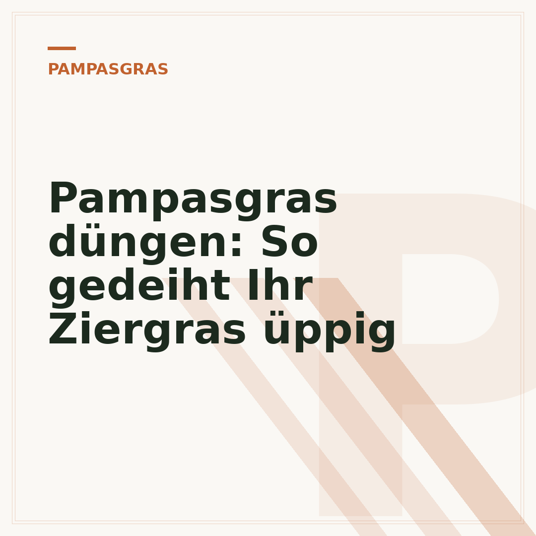 Pampasgras düngen: So gedeiht Ihr Ziergras üppig