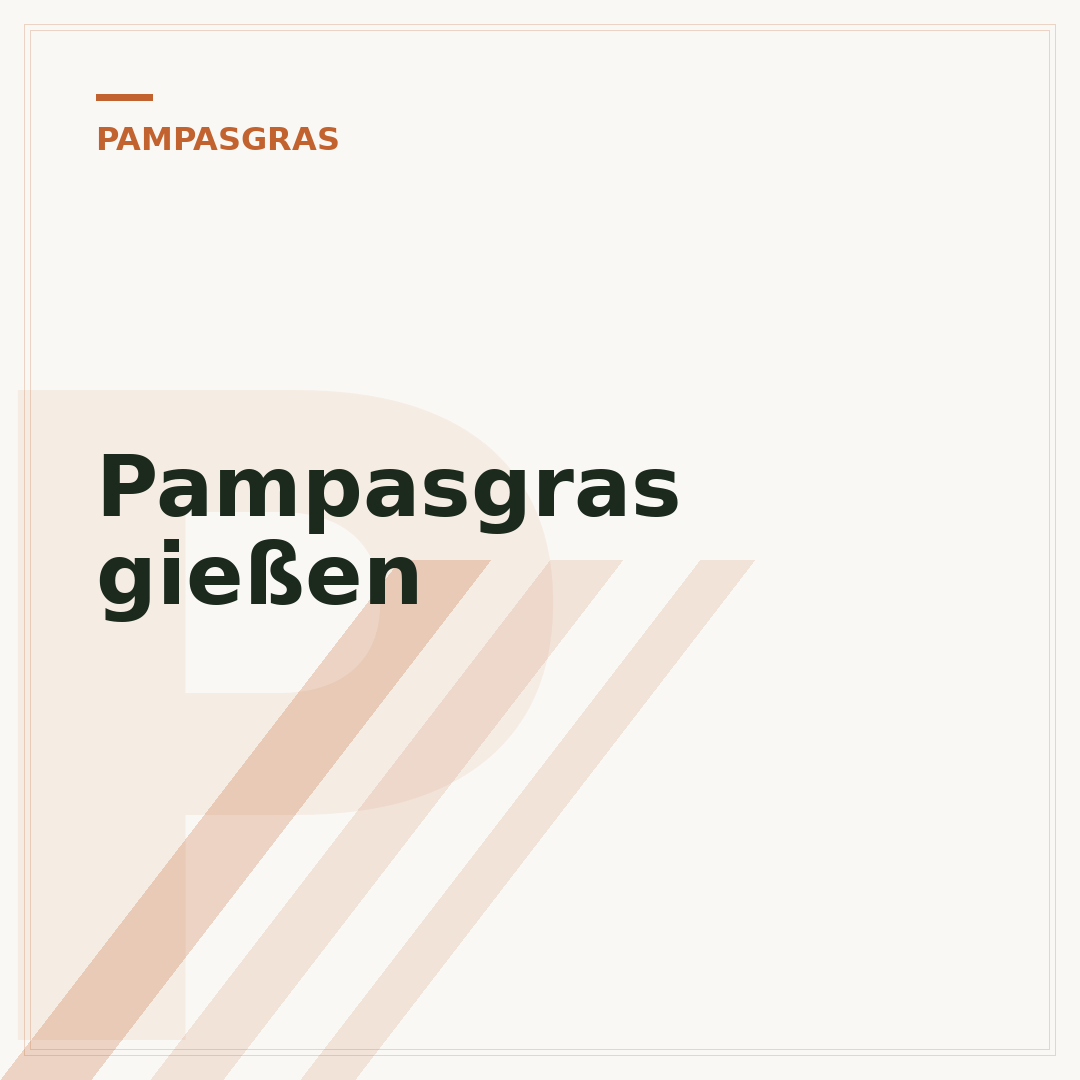 Pampasgras gießen