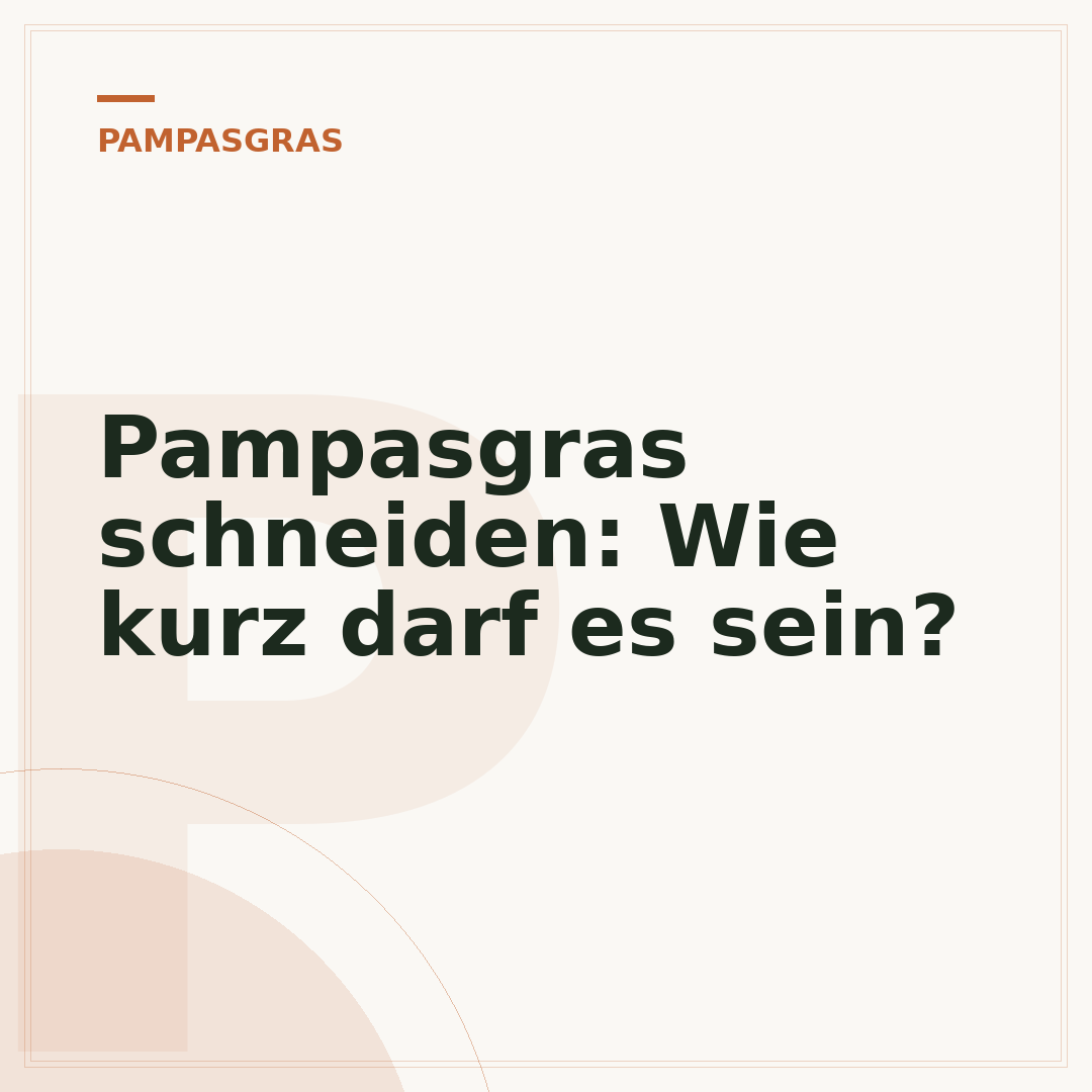 Pampasgras schneiden: Wie kurz darf es sein?