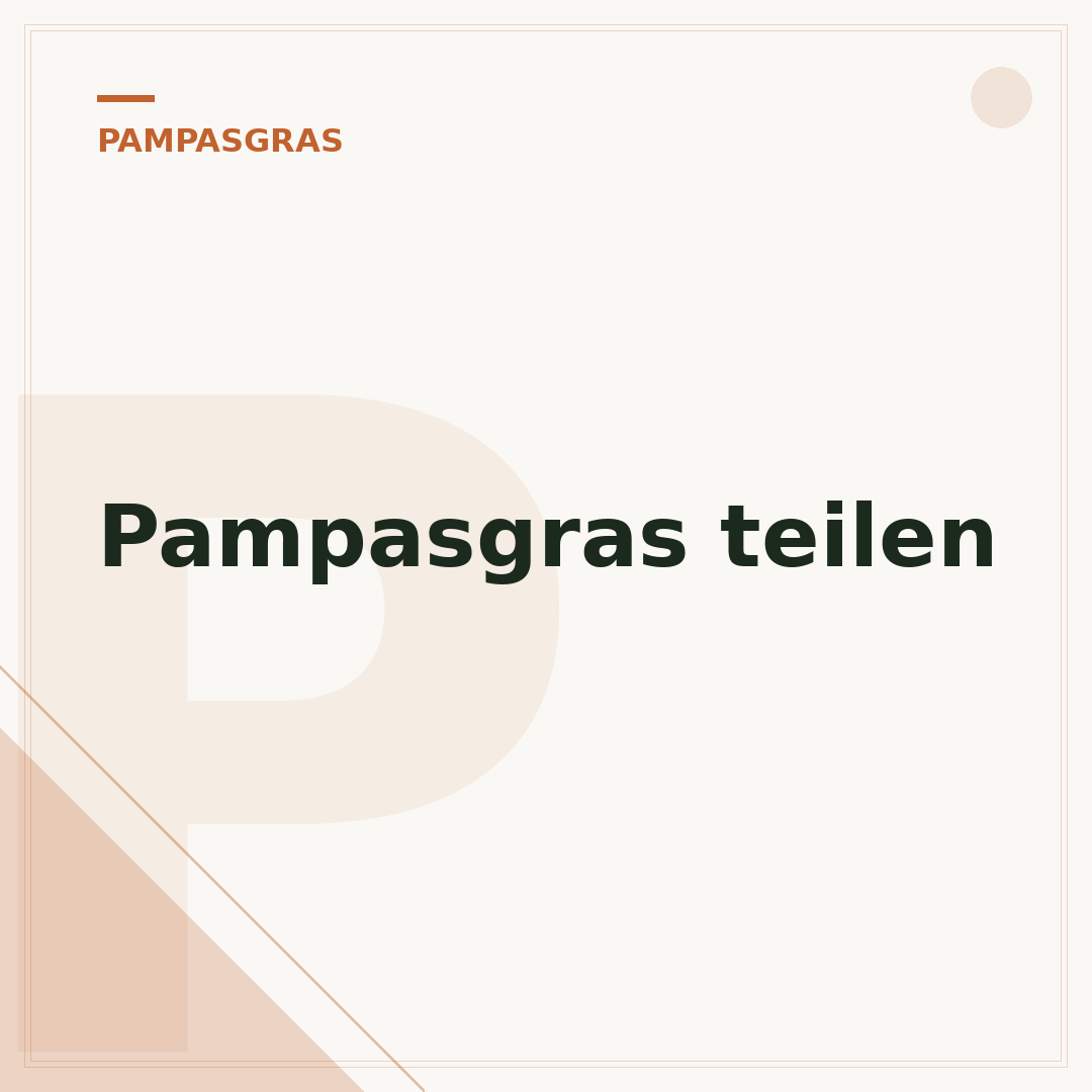Pampasgras teilen