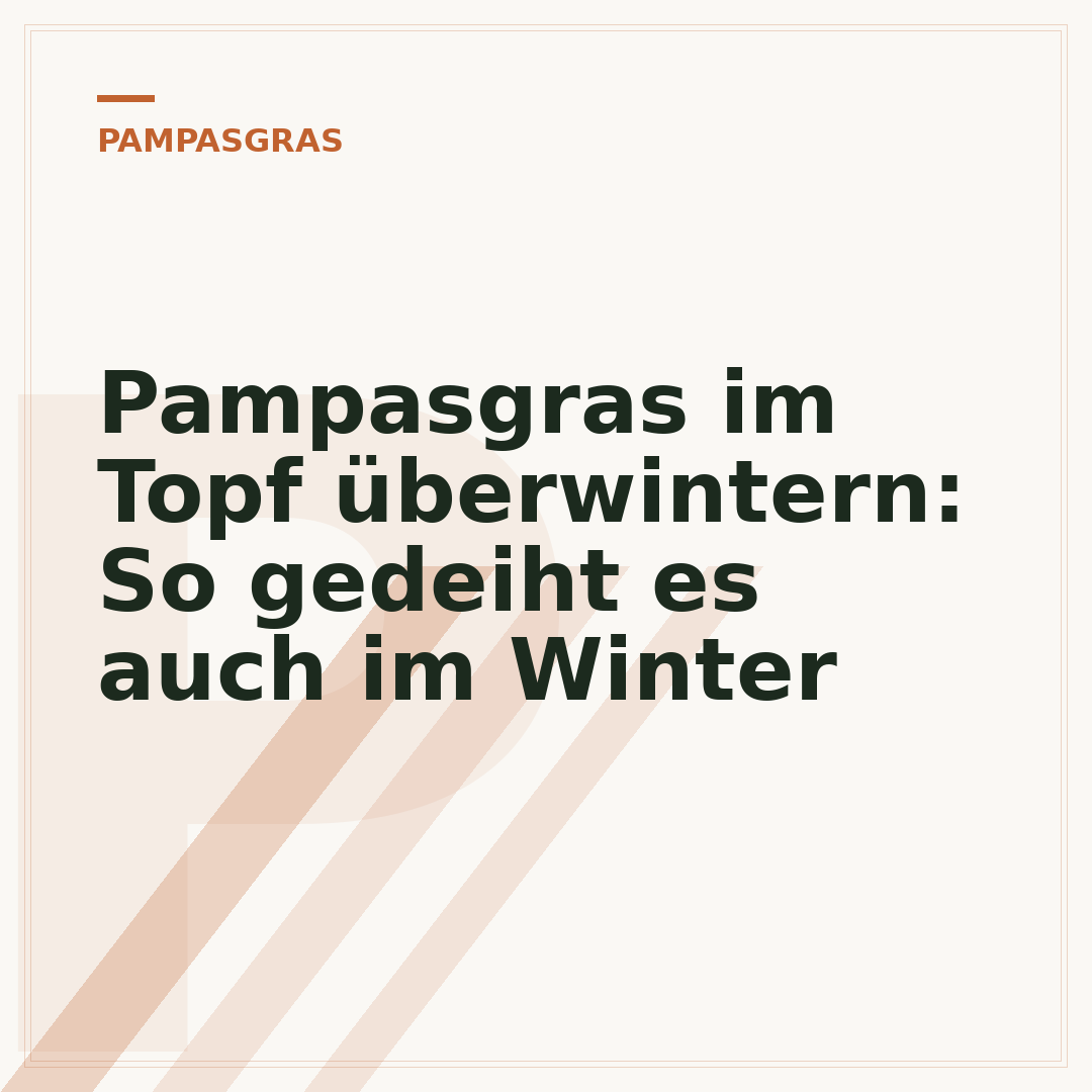 Pampasgras im Topf überwintern: So gedeiht es auch im Winter