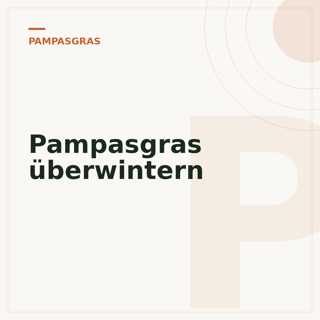Pampasgras überwintern