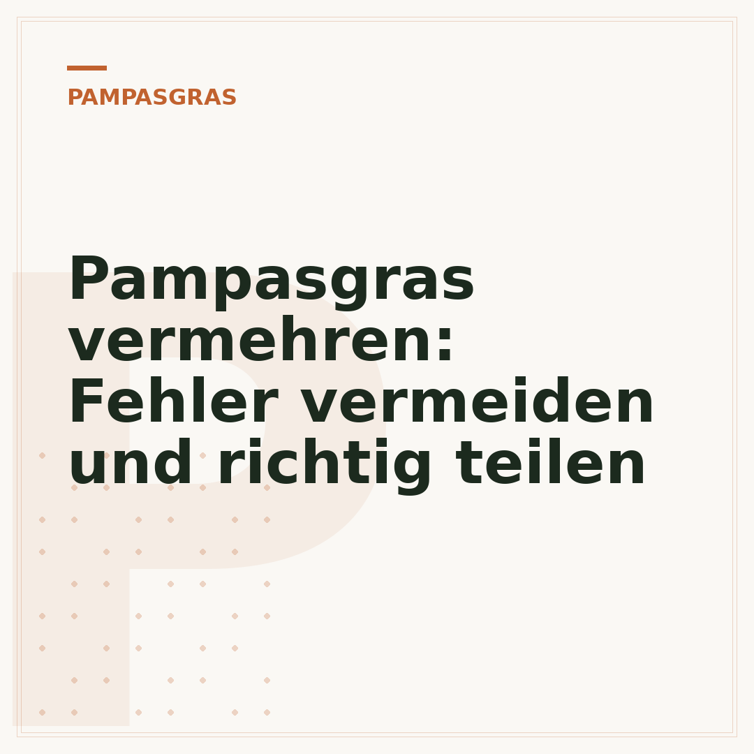 Pampasgras vermehren: Fehler vermeiden und richtig teilen