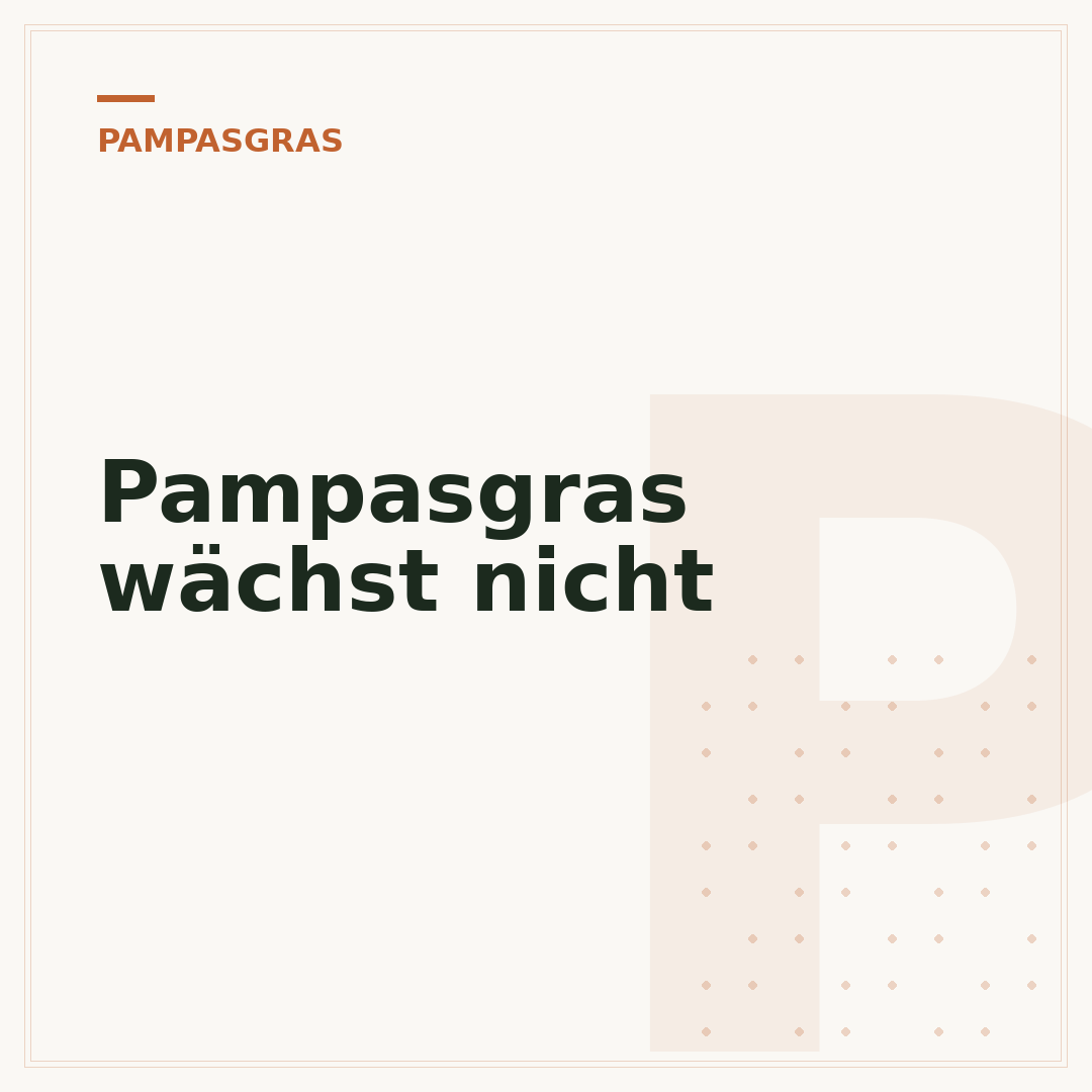 Pampasgras wächst nicht