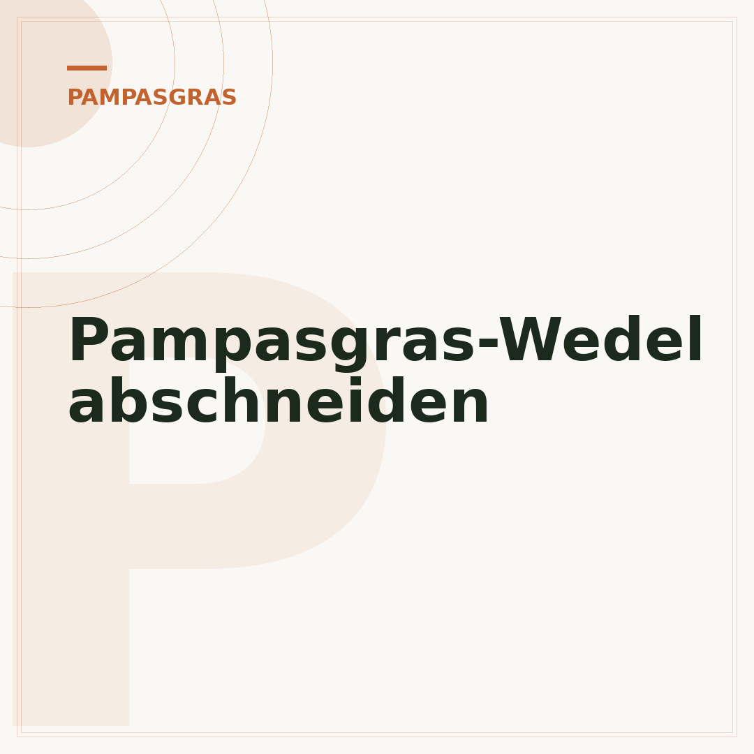 Pampasgras-Wedel abschneiden